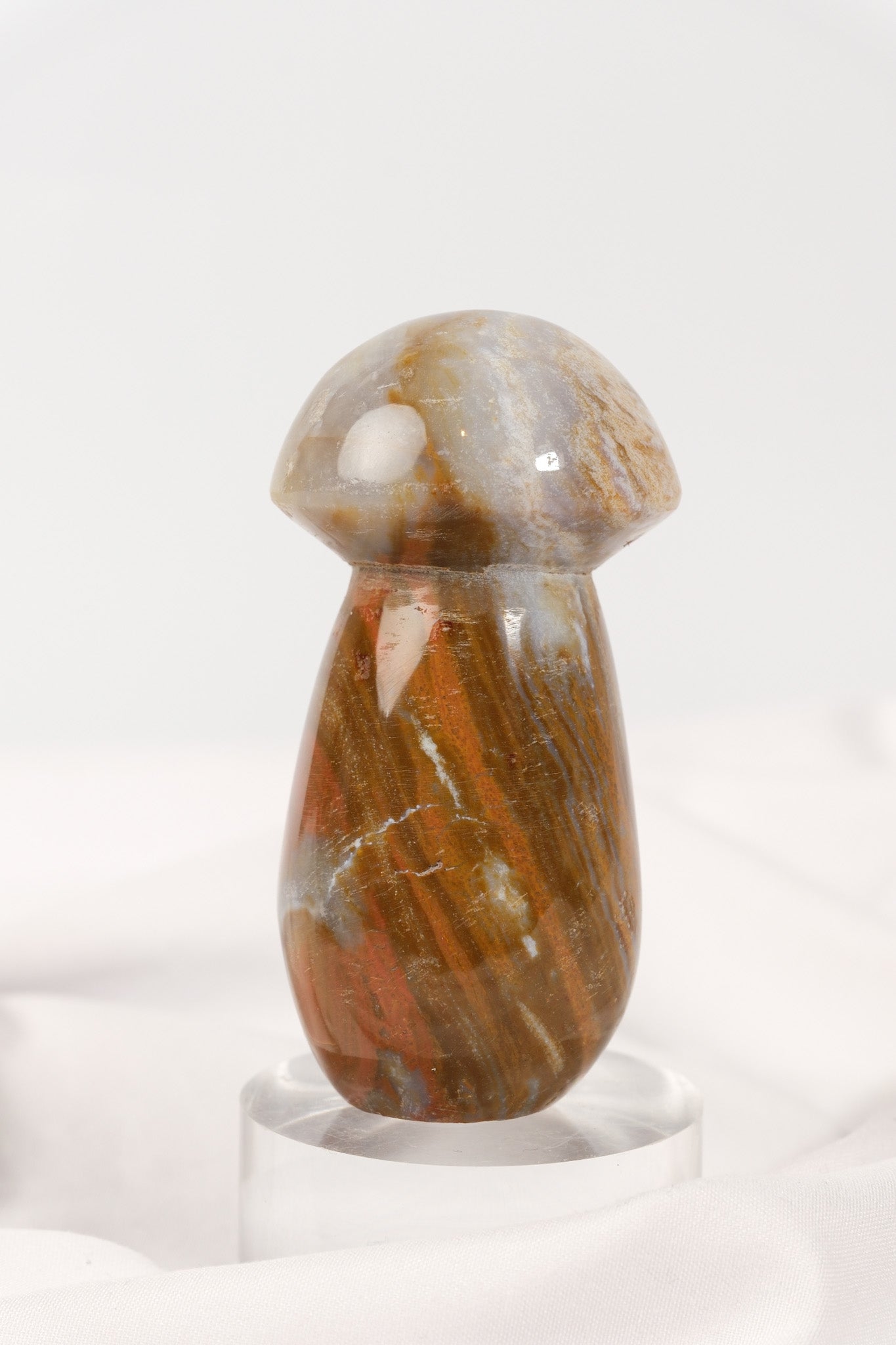 Polychrome Jasper Mushroom