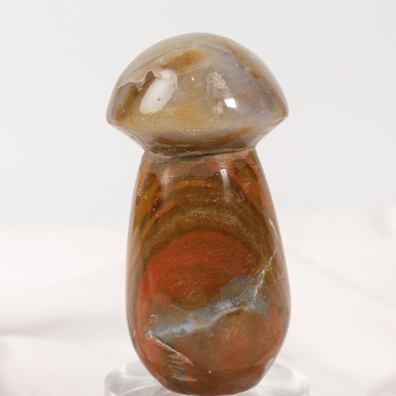 Polychrome Jasper Mushroom