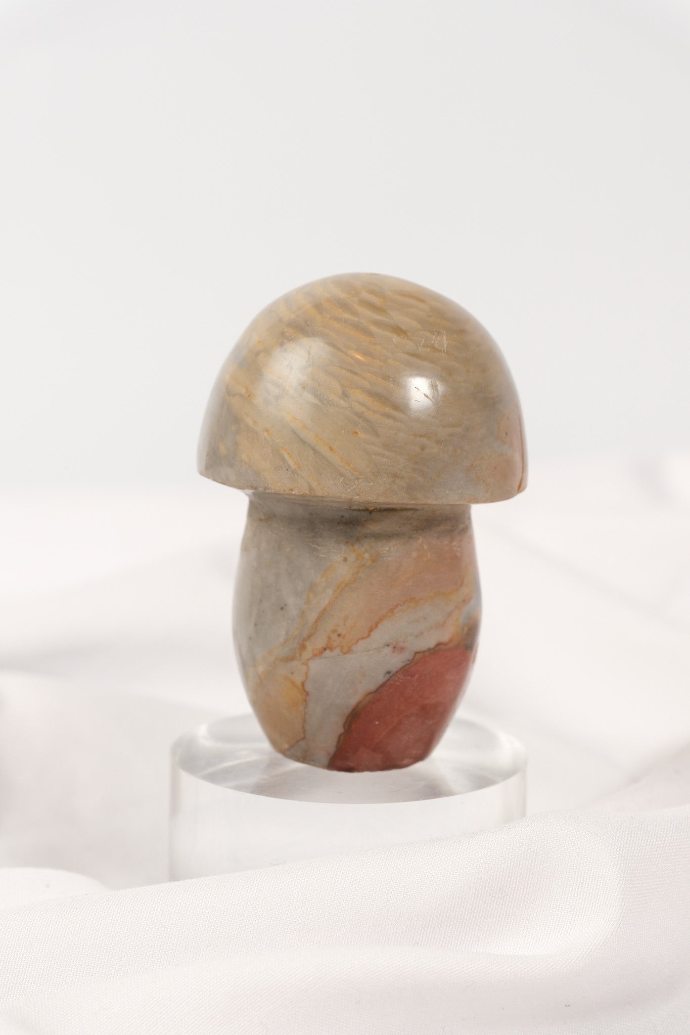 Polychrome Jasper Mushroom