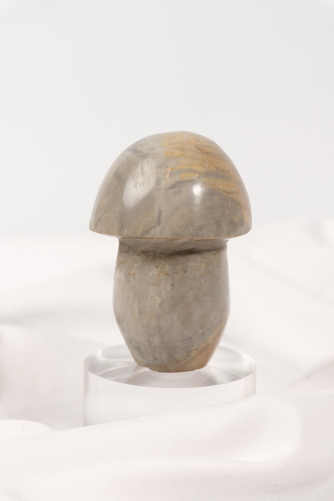 Polychrome Jasper Mushroom