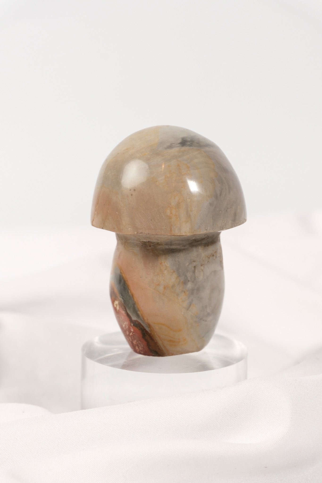 Polychrome Jasper Mushroom