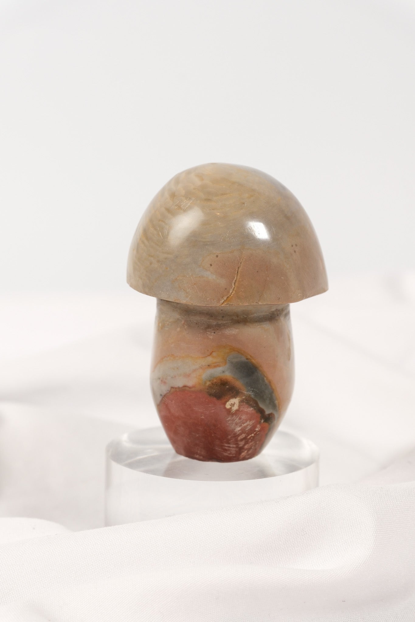 Polychrome Jasper Mushroom