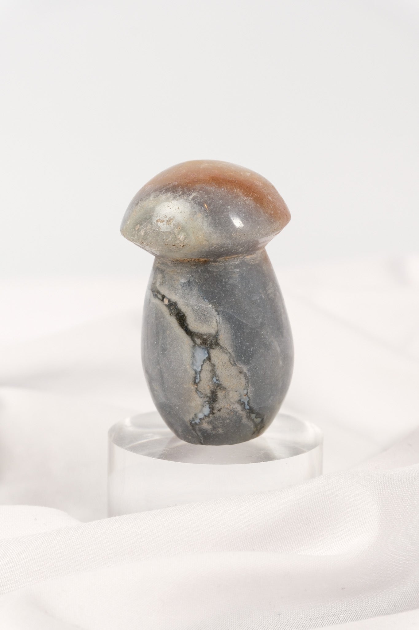 Polychrome Jasper Mushroom