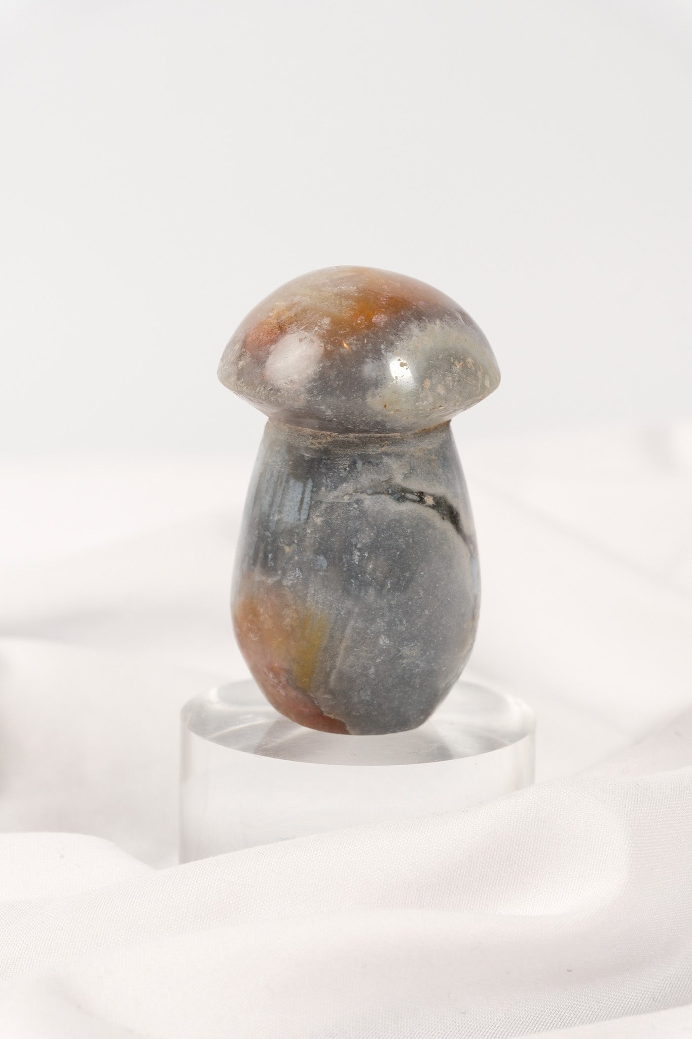 Polychrome Jasper Mushroom
