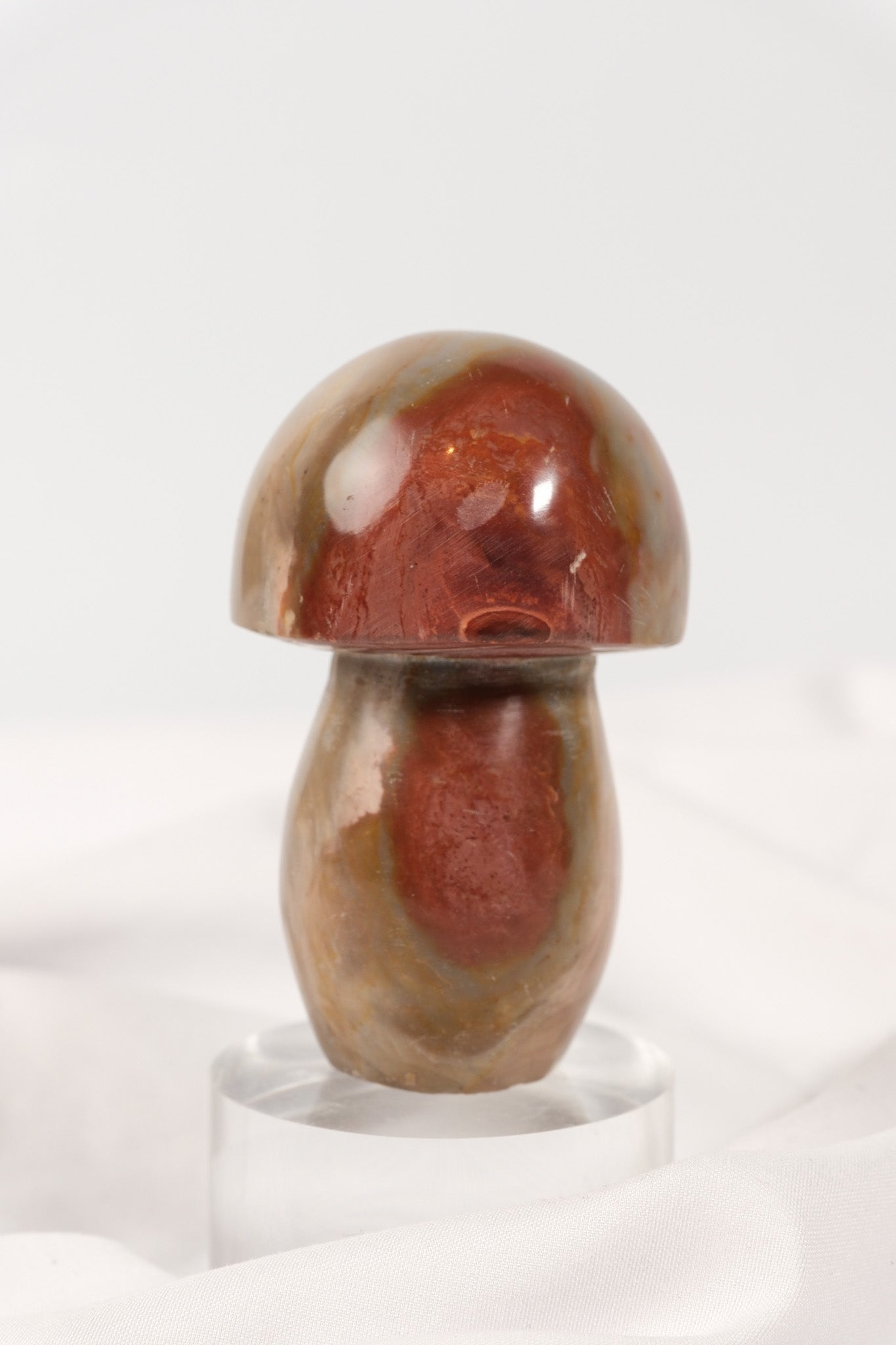 Polychrome Jasper Mushroom