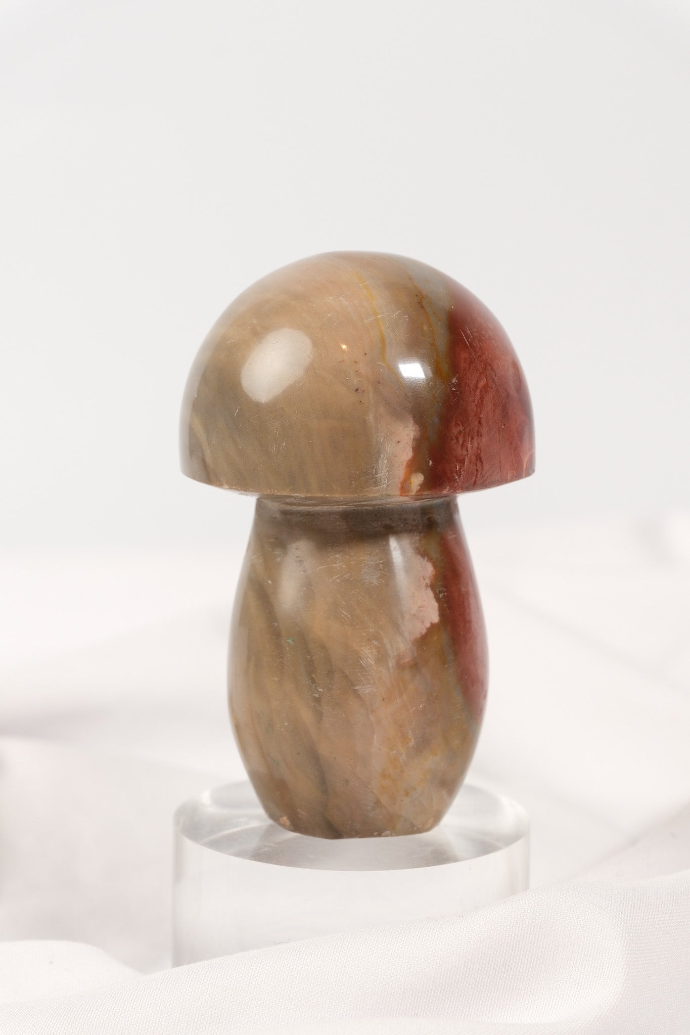Polychrome Jasper Mushroom