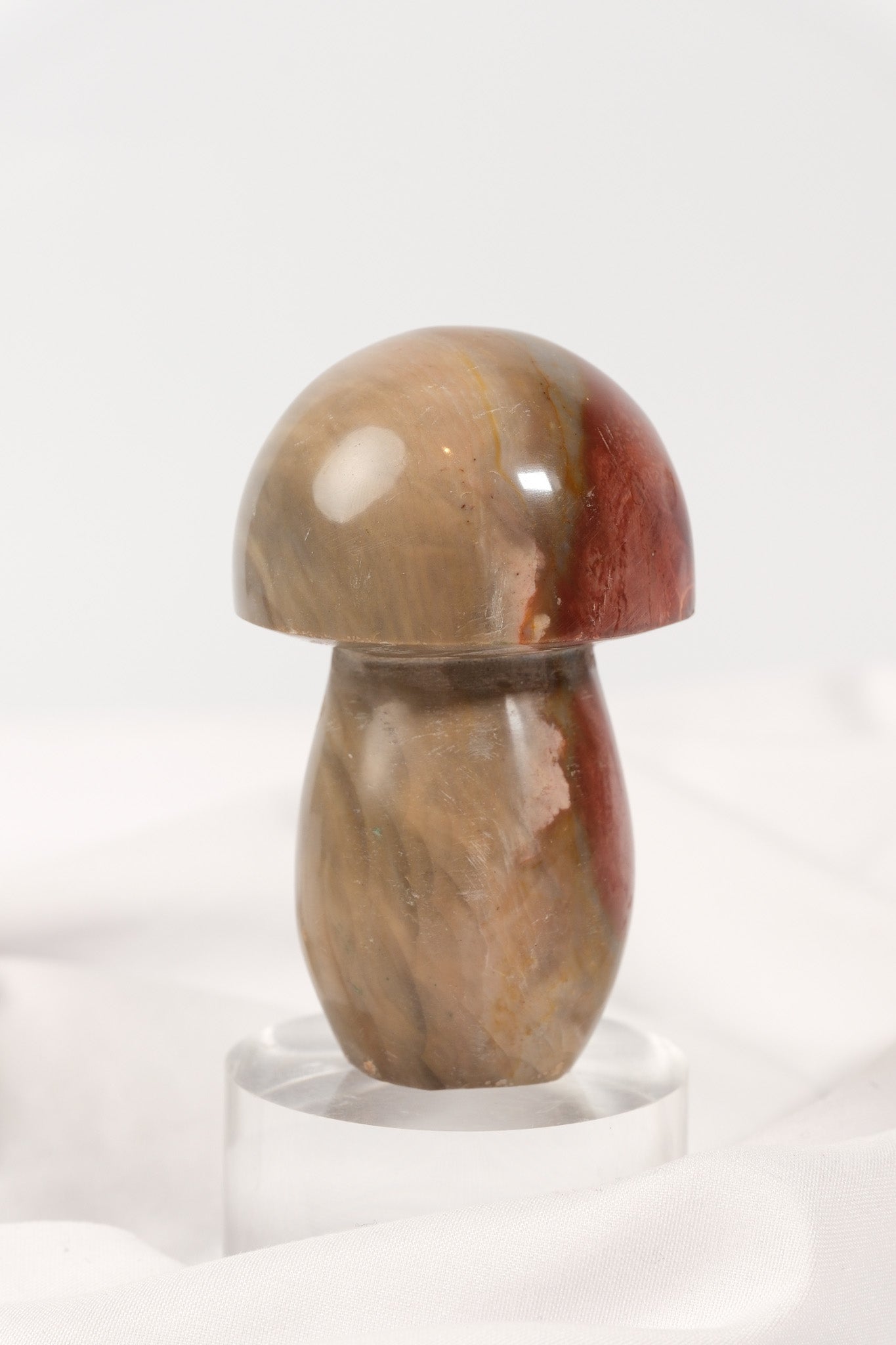 Polychrome Jasper Mushroom