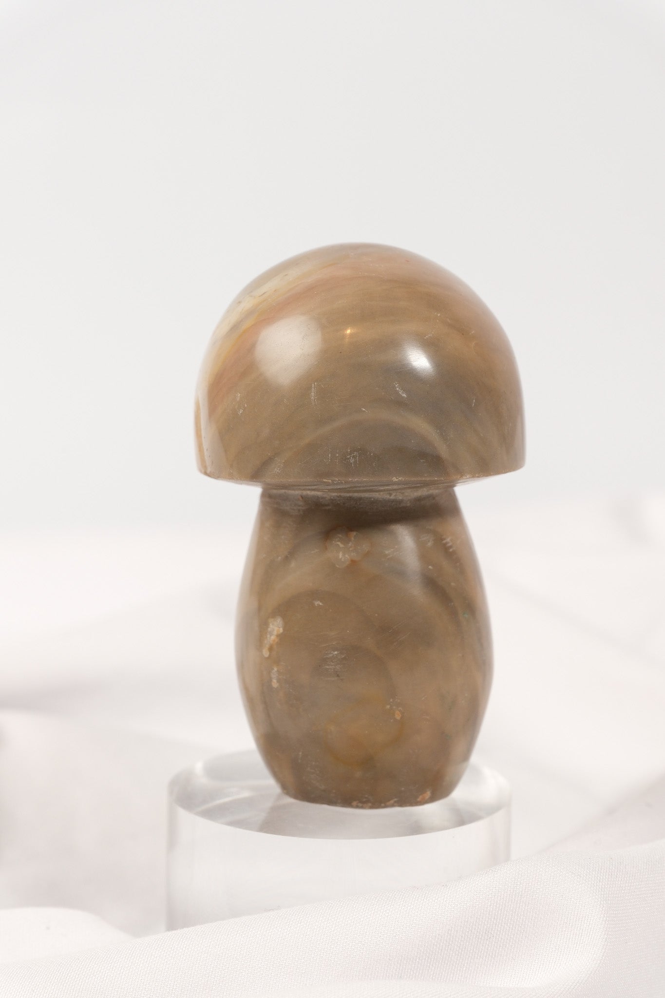 Polychrome Jasper Mushroom