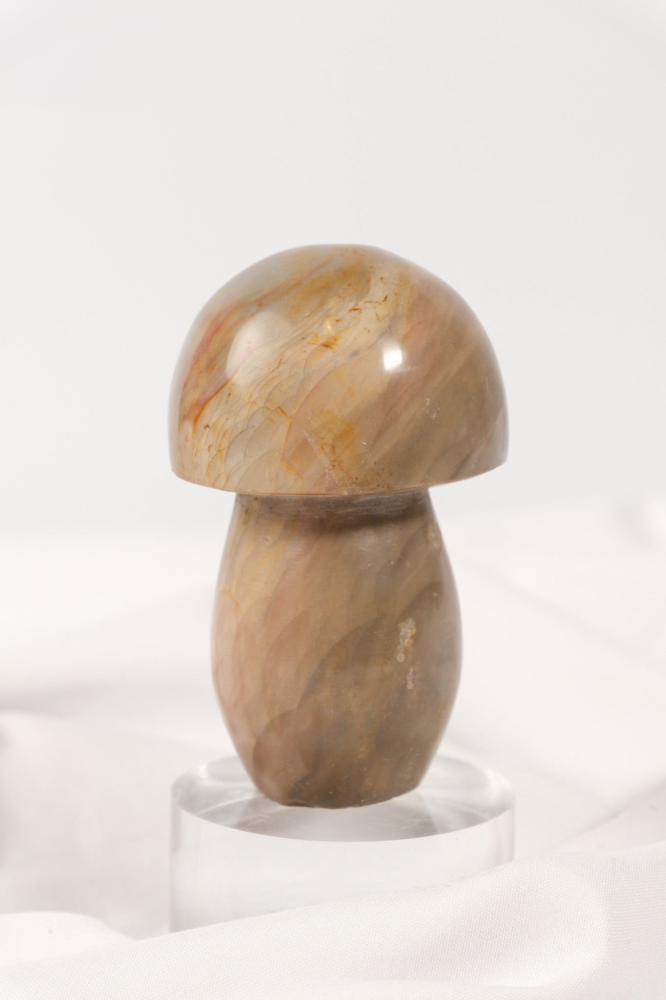 Polychrome Jasper Mushroom