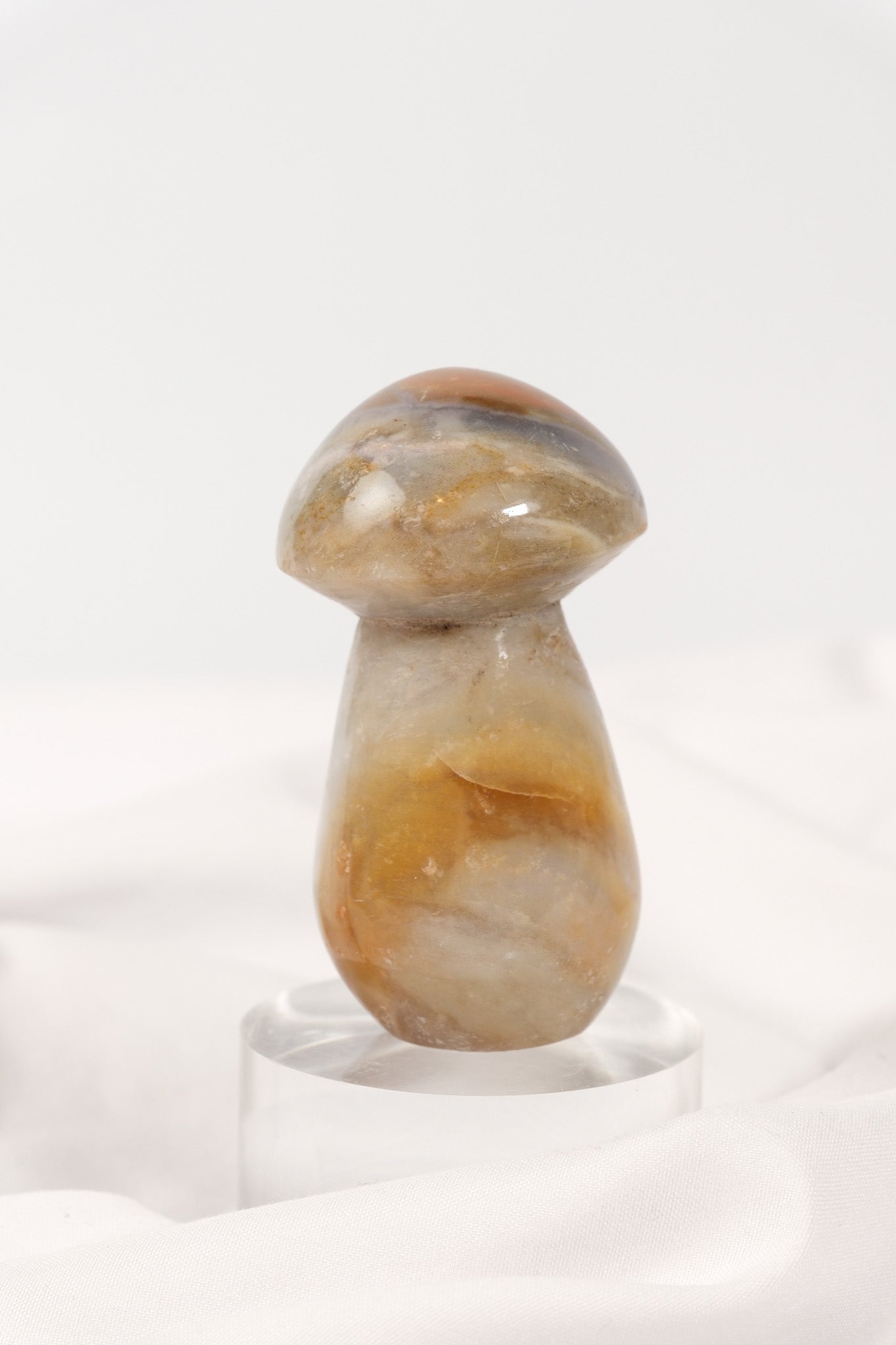 Polychrome Jasper Mushroom