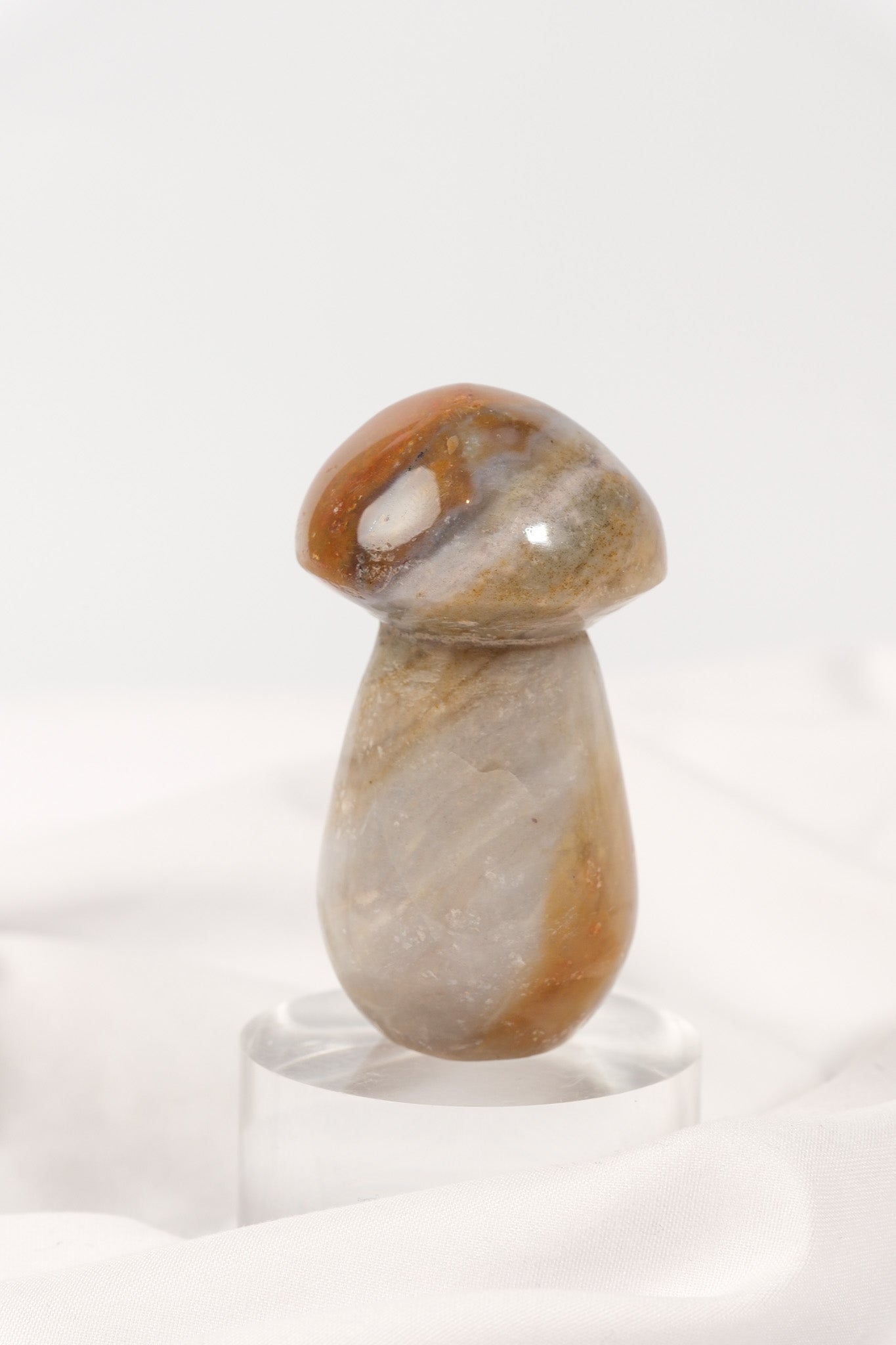 Polychrome Jasper Mushroom