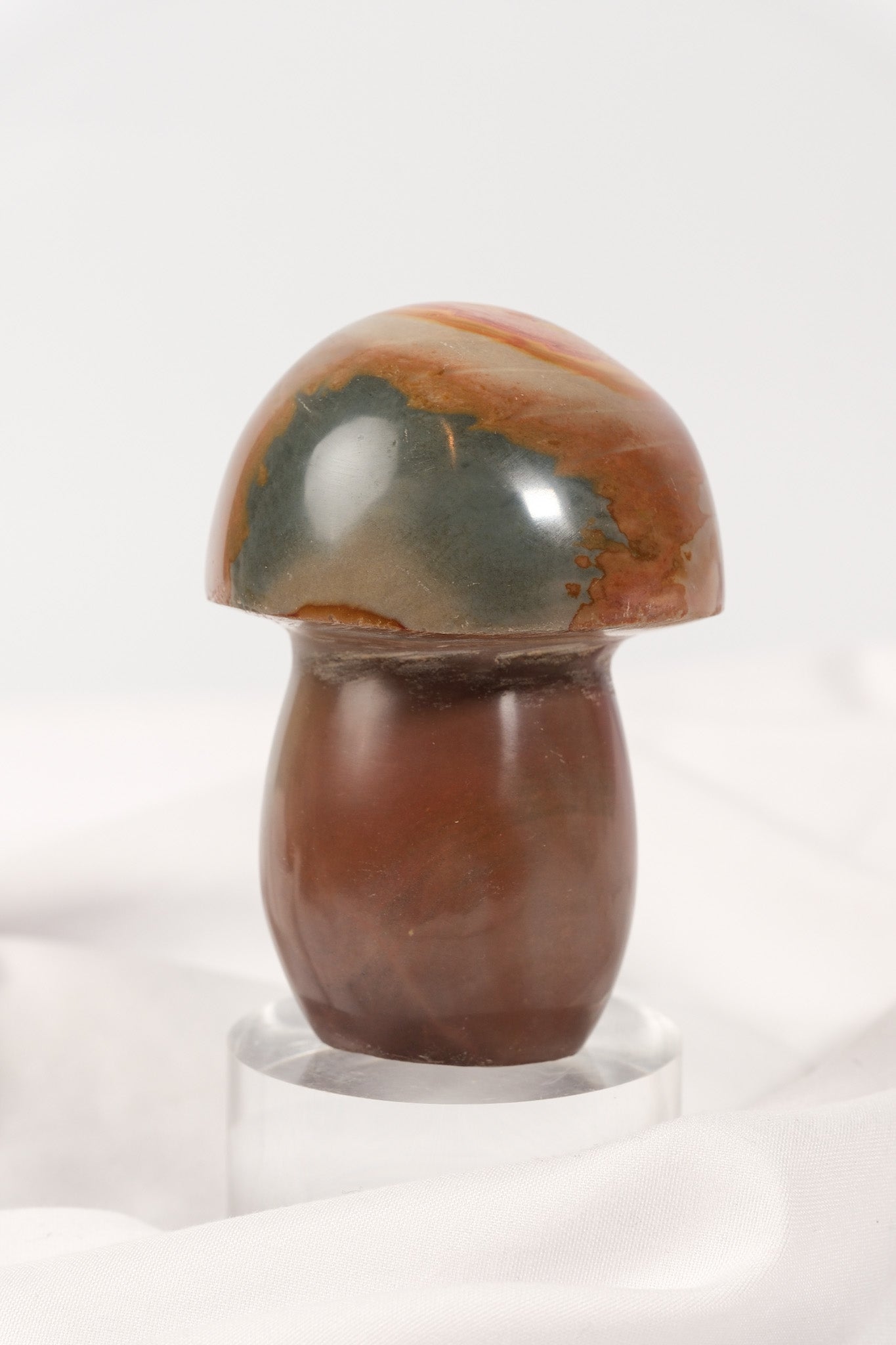 Polychrome Jasper Mushroom