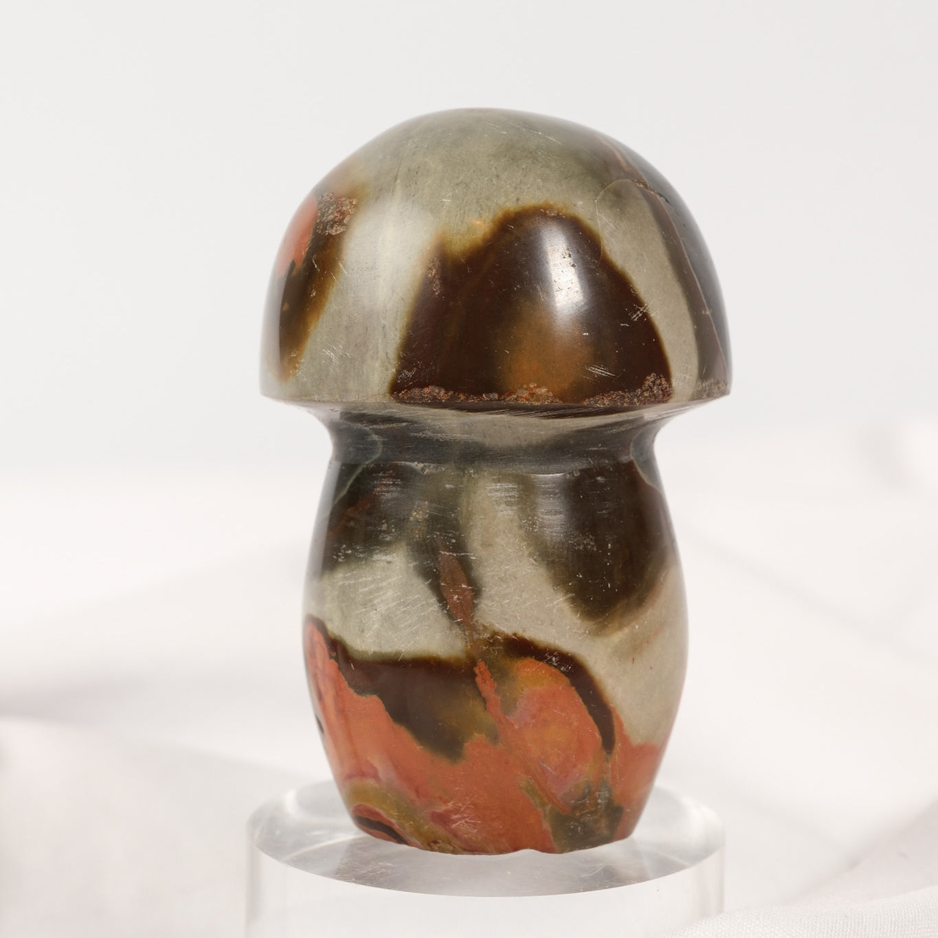 Polychrome Jasper Mushroom