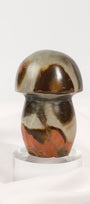Polychrome Jasper Mushroom