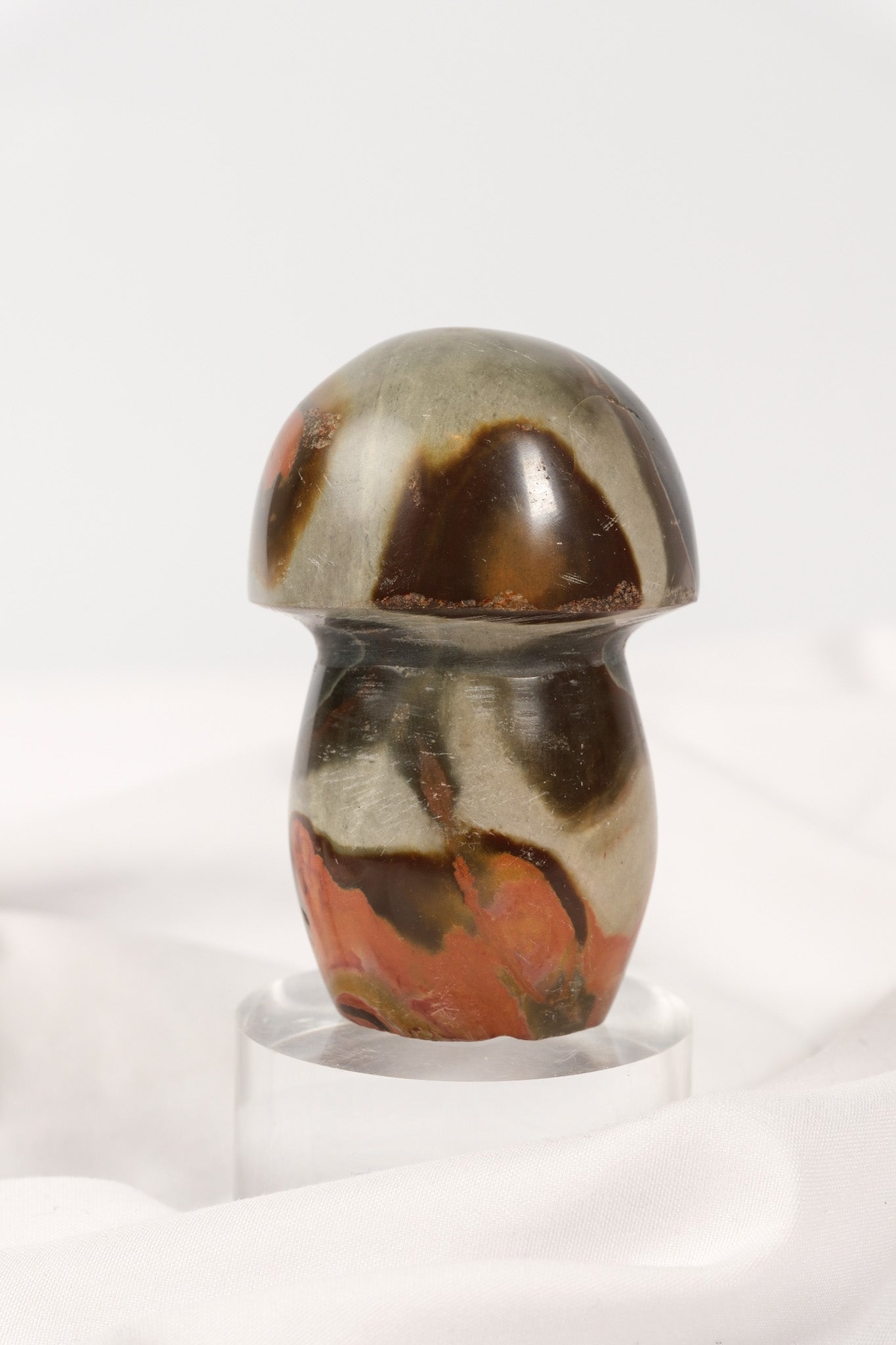 Polychrome Jasper Mushroom
