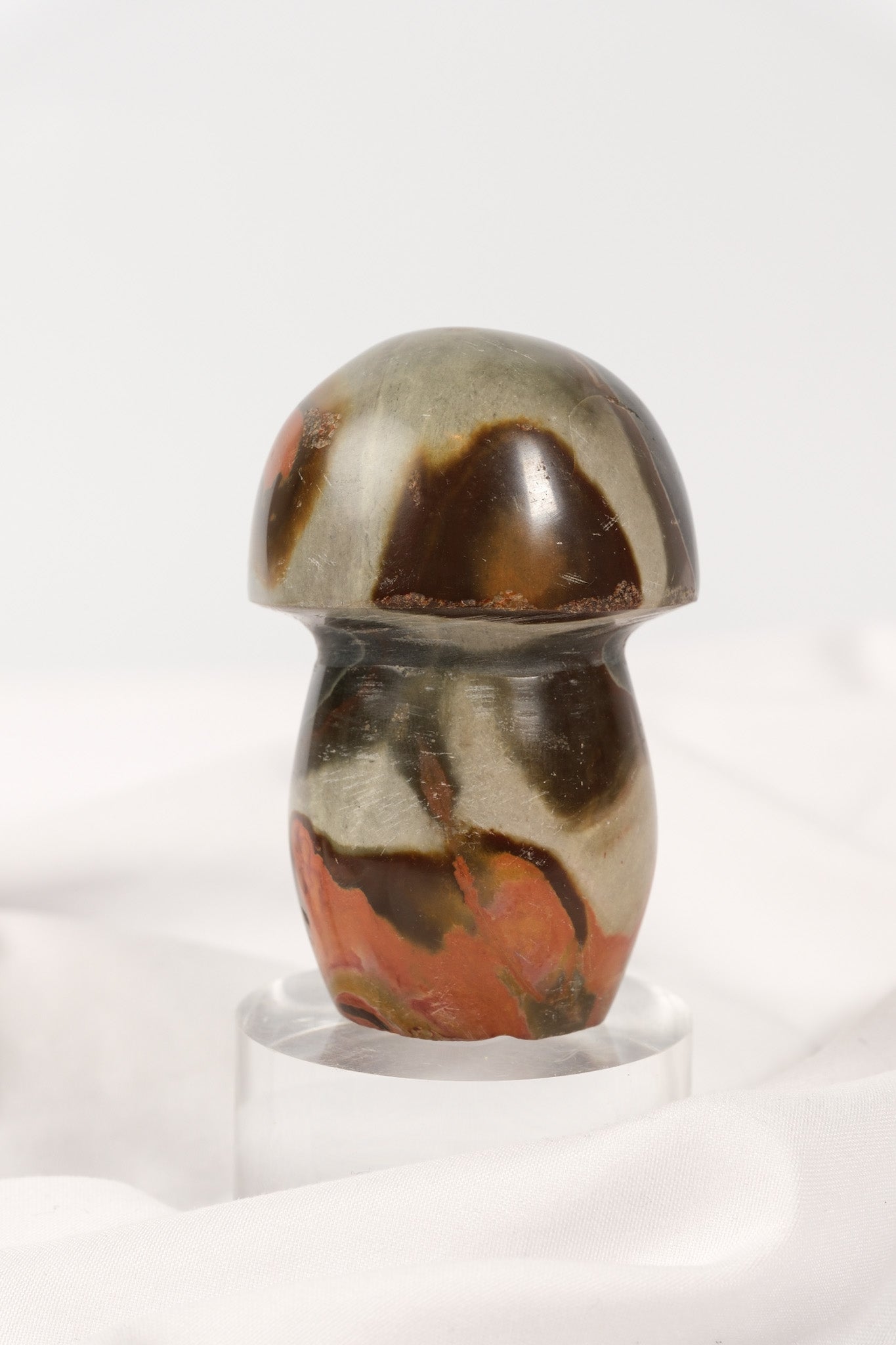 Polychrome Jasper Mushroom