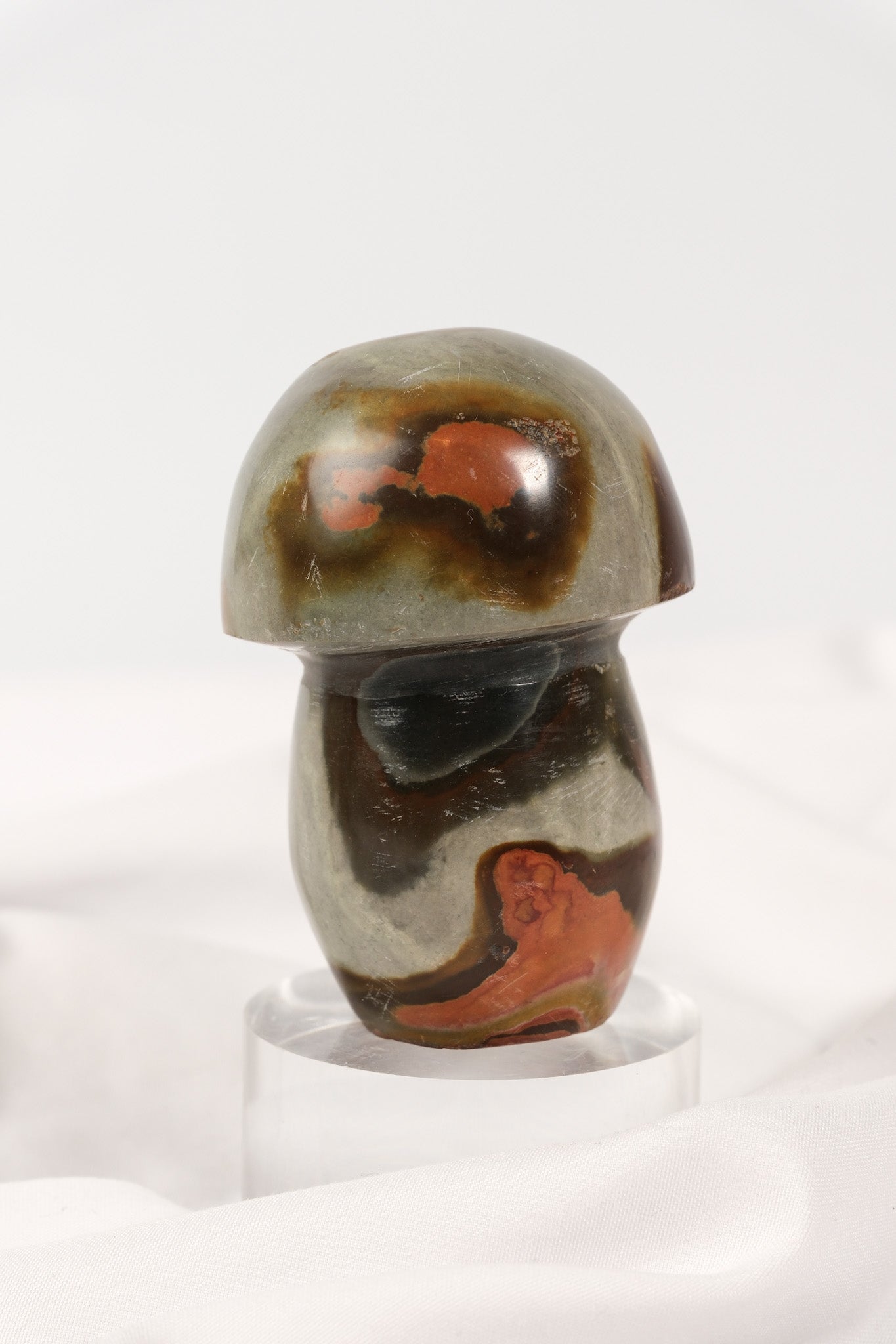 Polychrome Jasper Mushroom