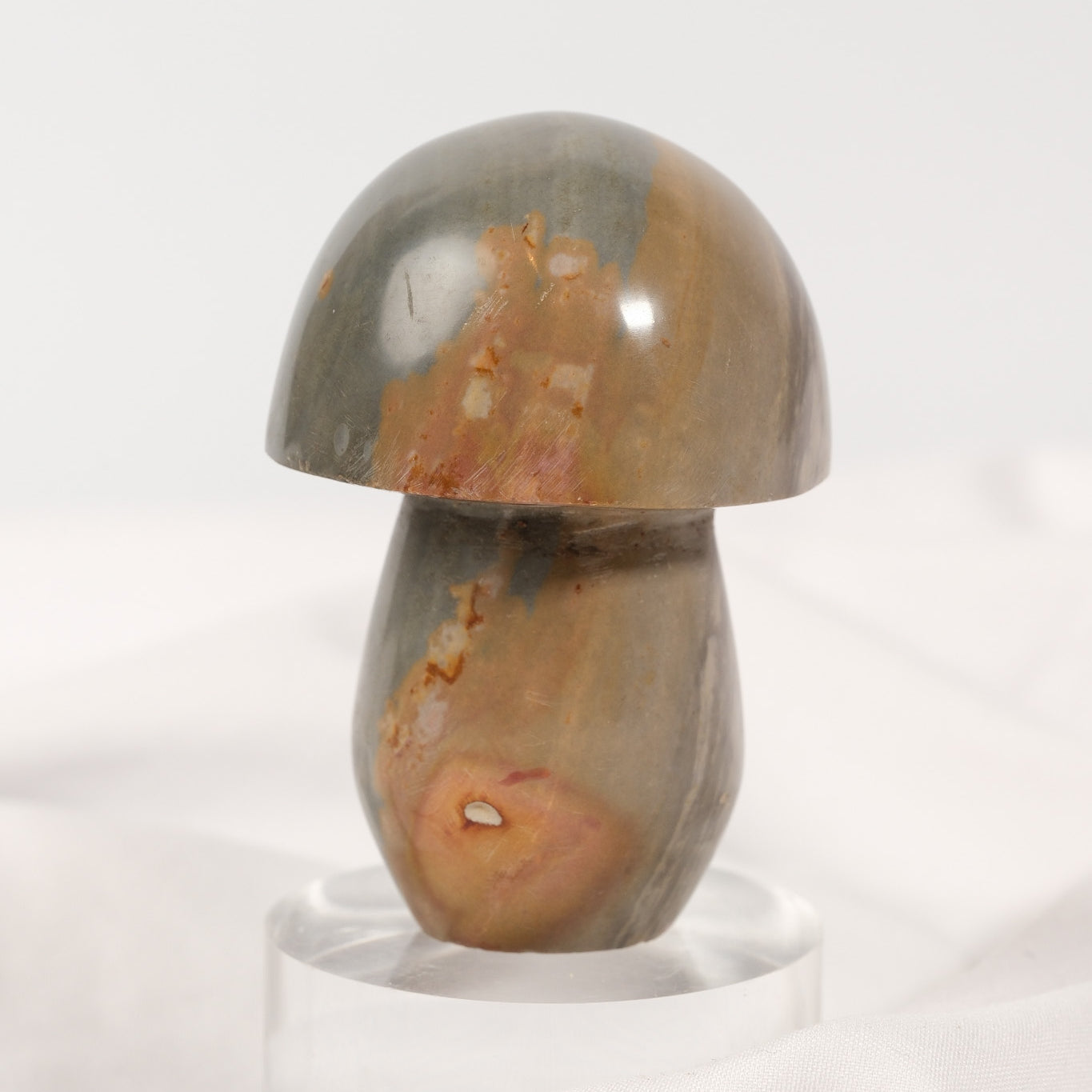 Polychrome Jasper Mushroom