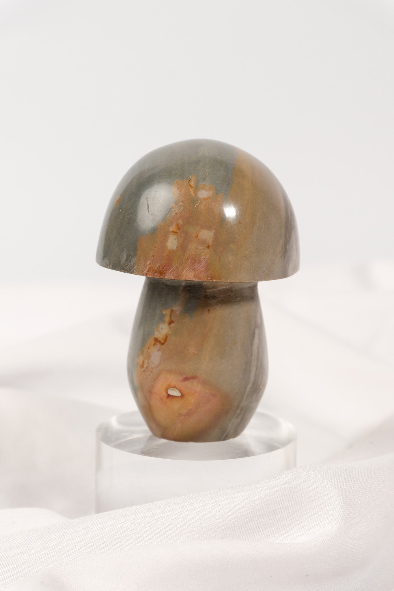 Polychrome Jasper Mushroom