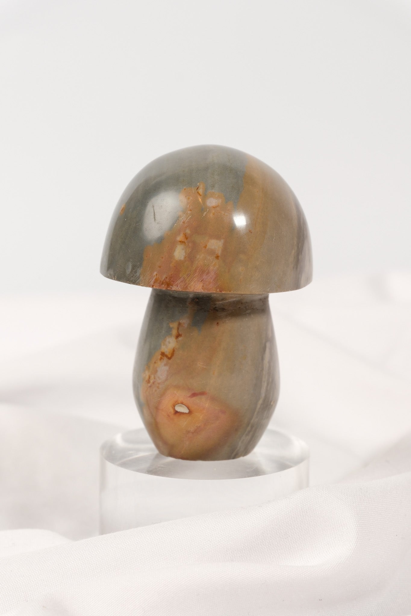 Polychrome Jasper Mushroom