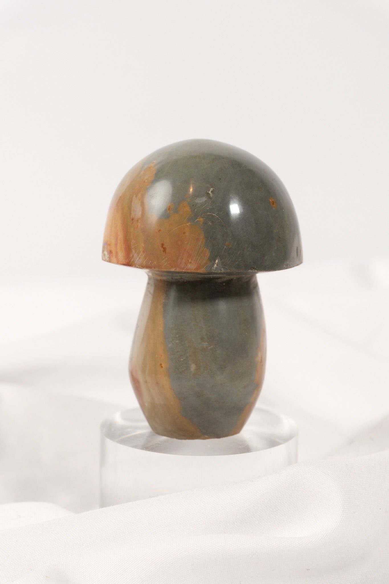 Polychrome Jasper Mushroom