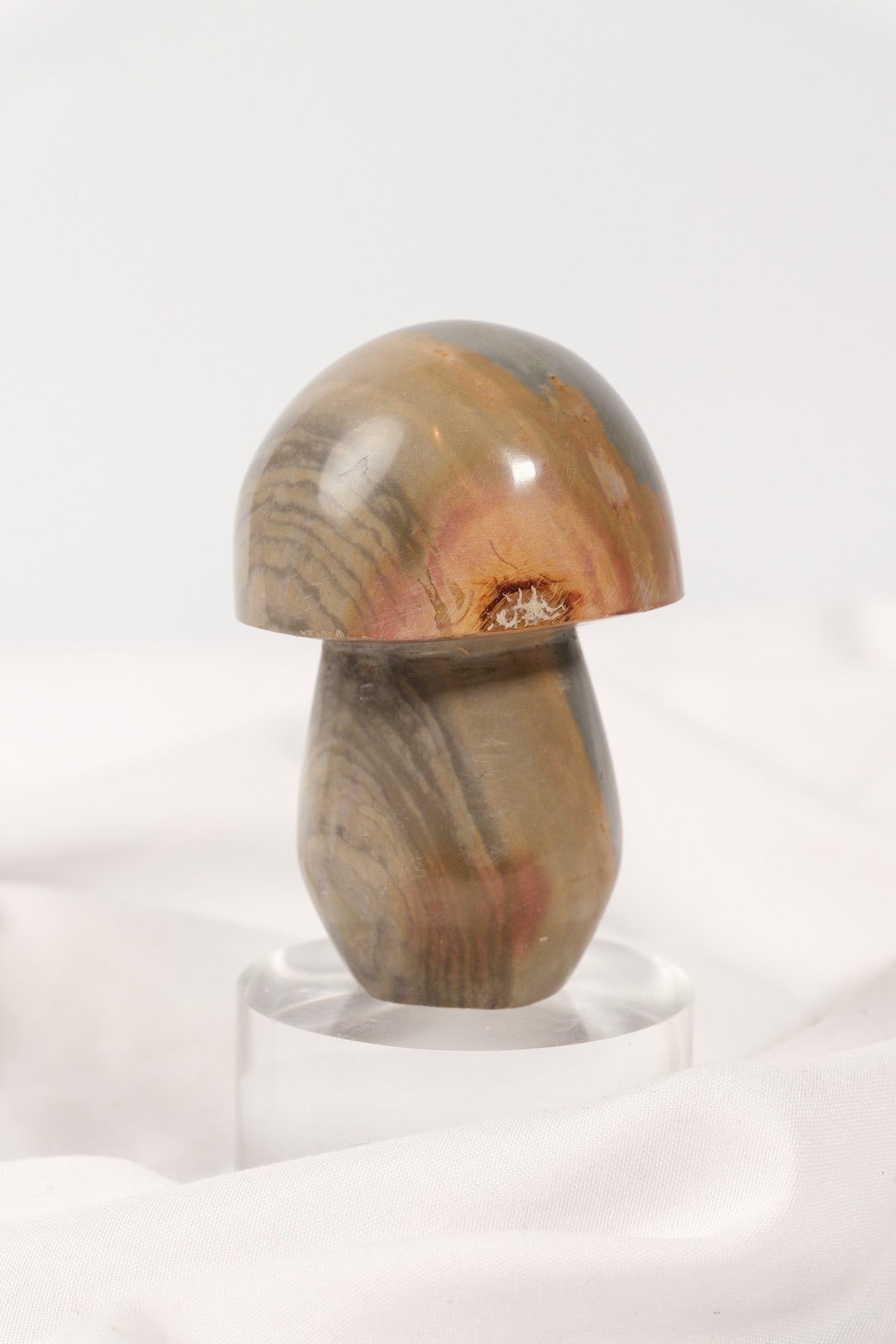 Polychrome Jasper Mushroom