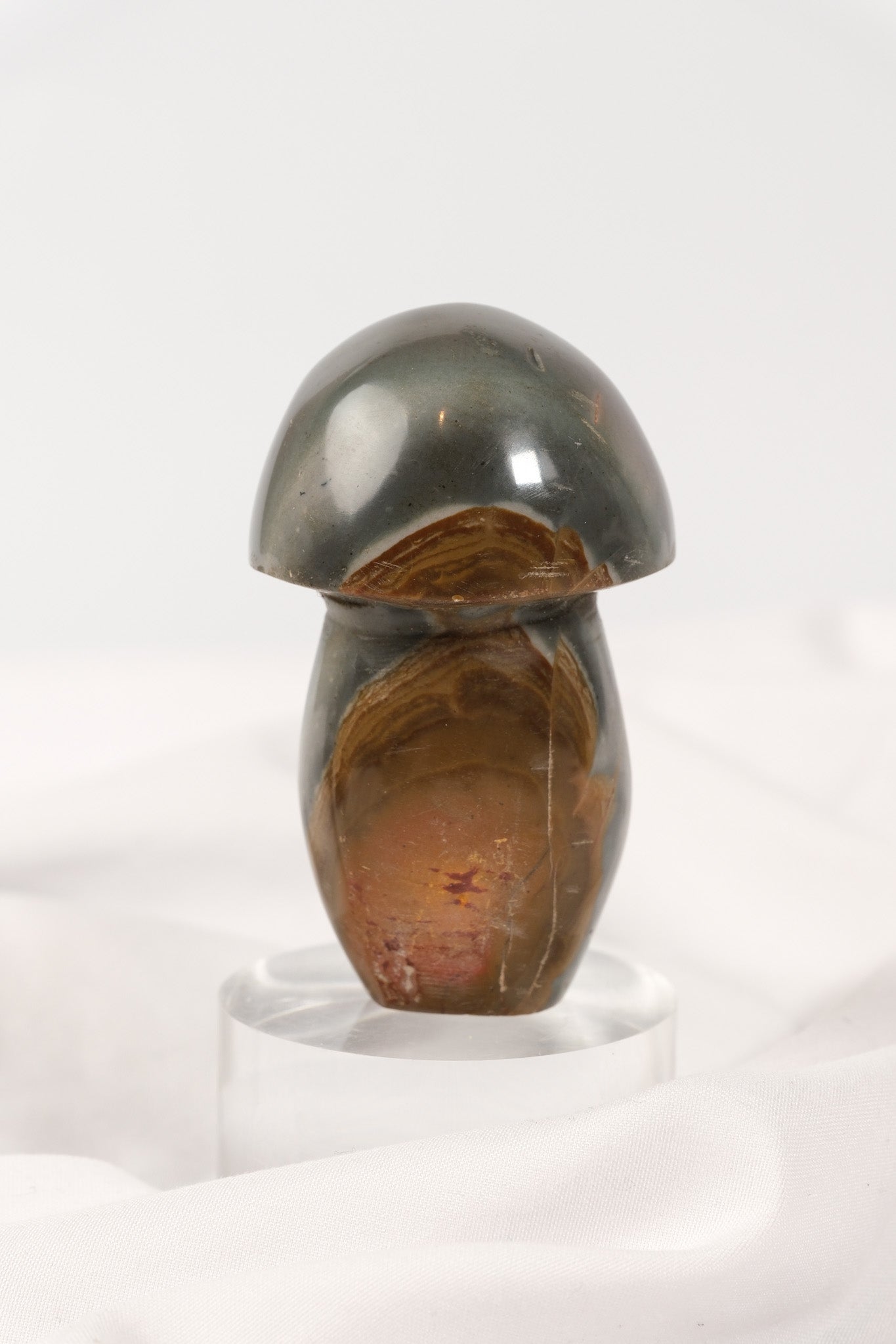 Polychrome Jasper Mushroom