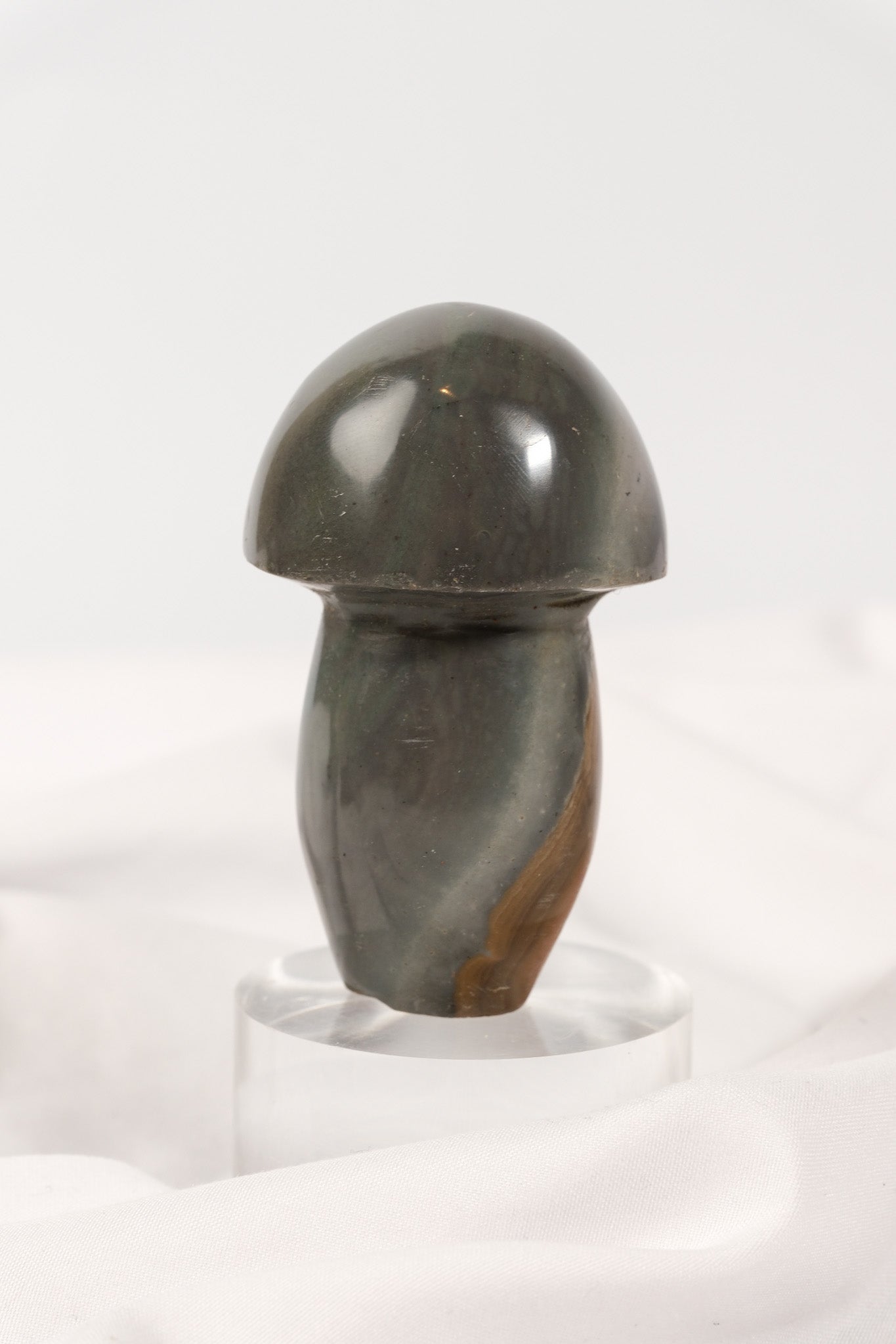 Polychrome Jasper Mushroom