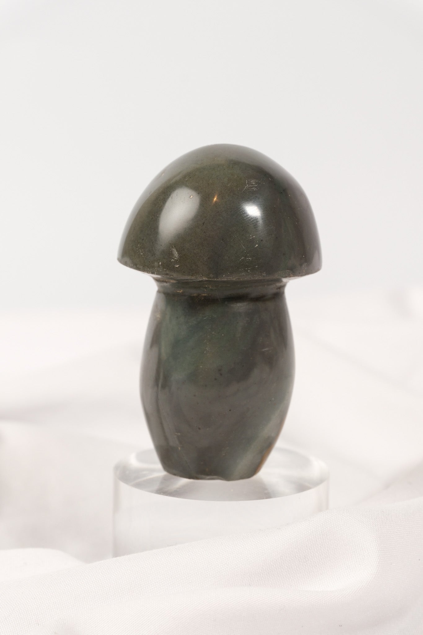 Polychrome Jasper Mushroom