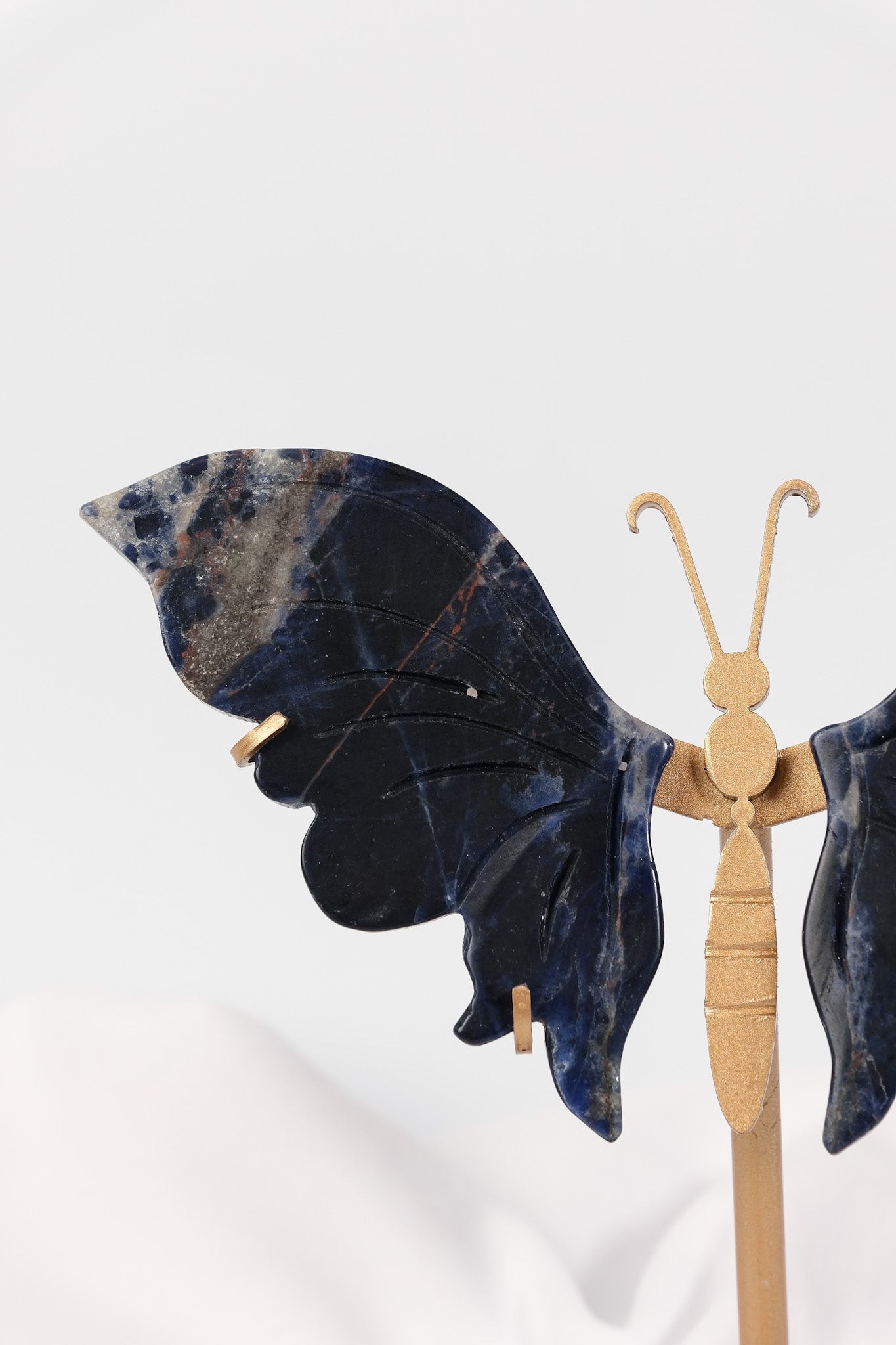 Sodalite Butterfly Wings on Gold Stand