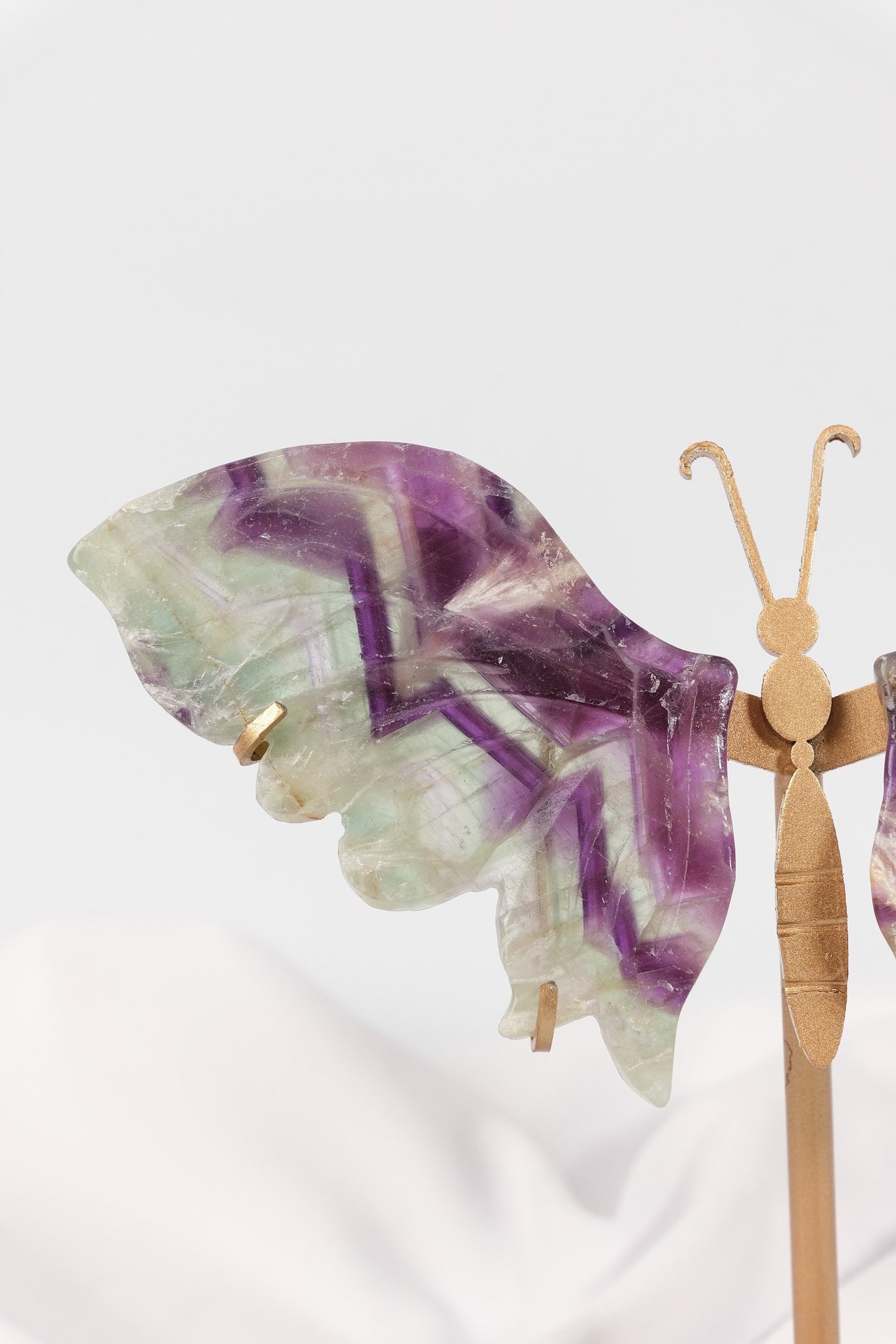 Fluorite Butterfly Wings on Gold Stand