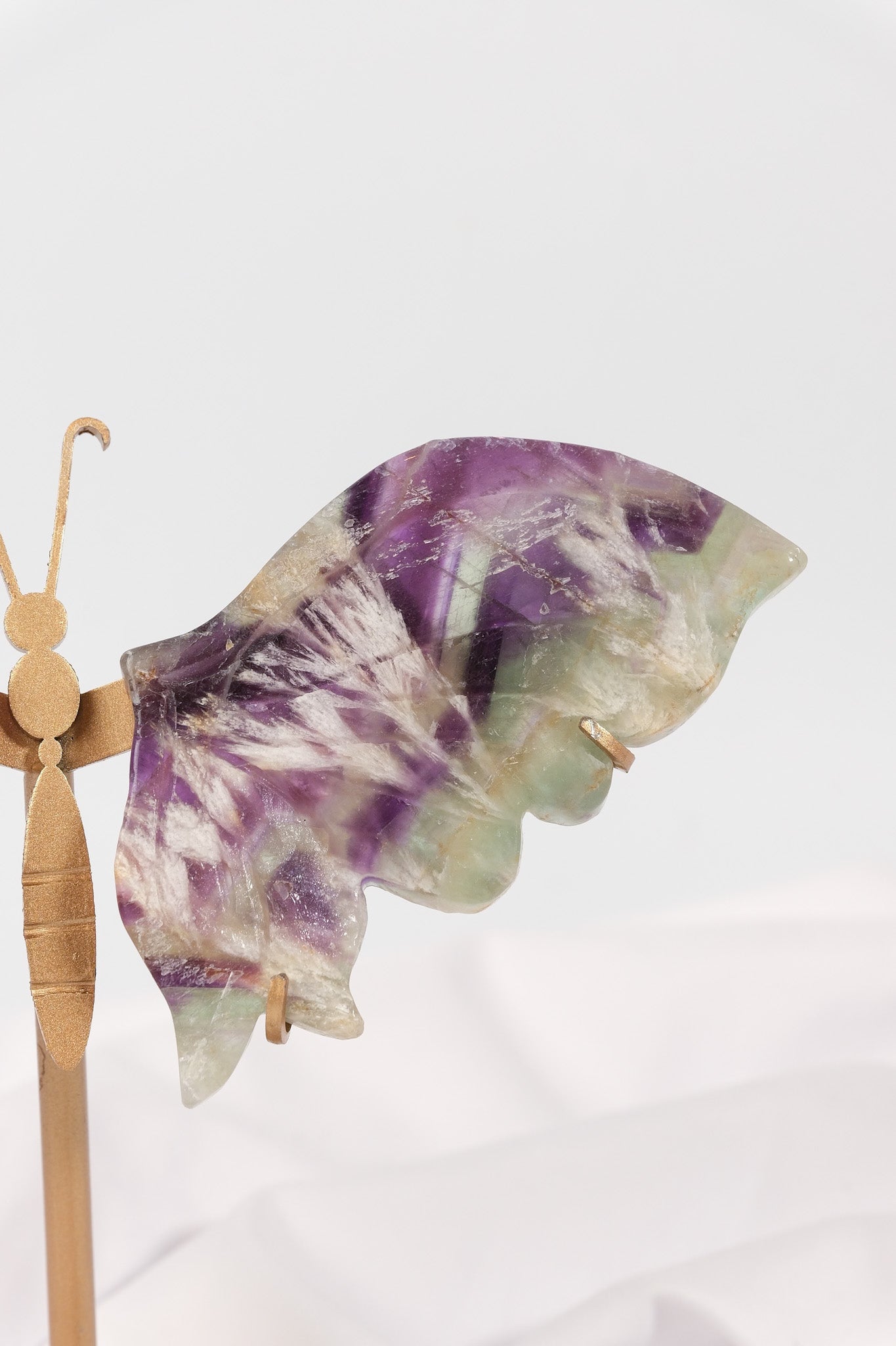 Fluorite Butterfly Wings on Gold Stand