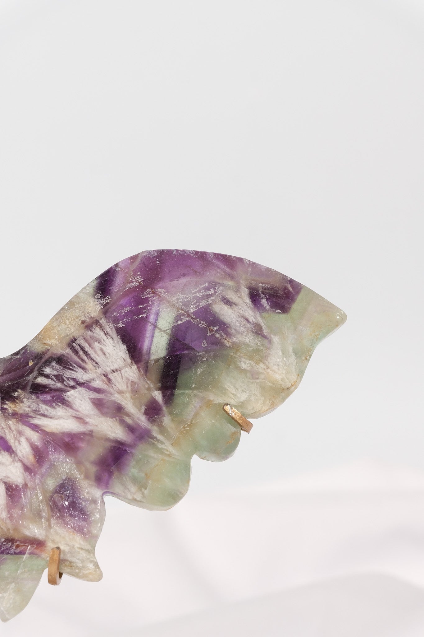 Fluorite Butterfly Wings on Gold Stand