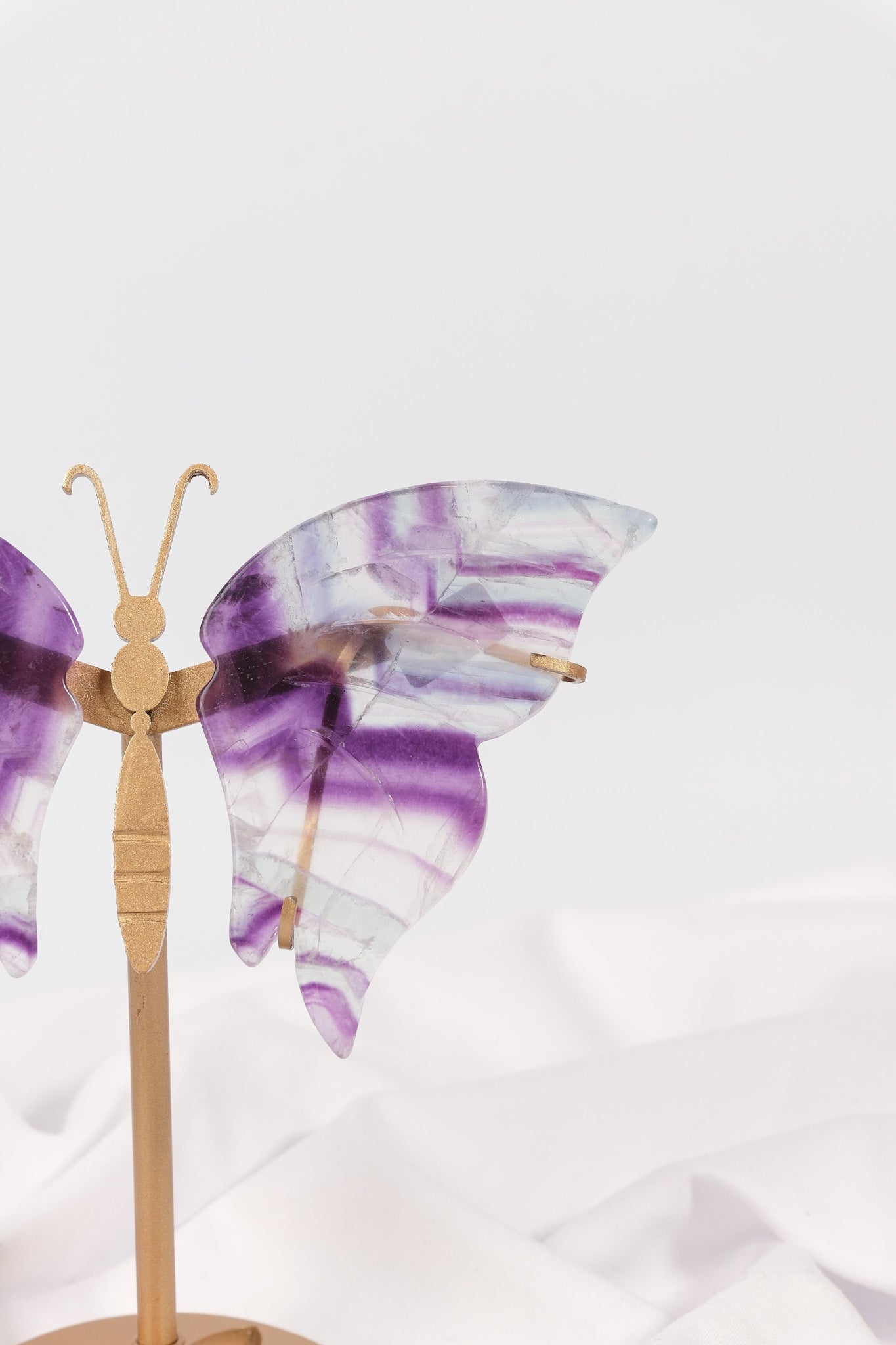 Fluorite Butterfly Wings on Gold Stand