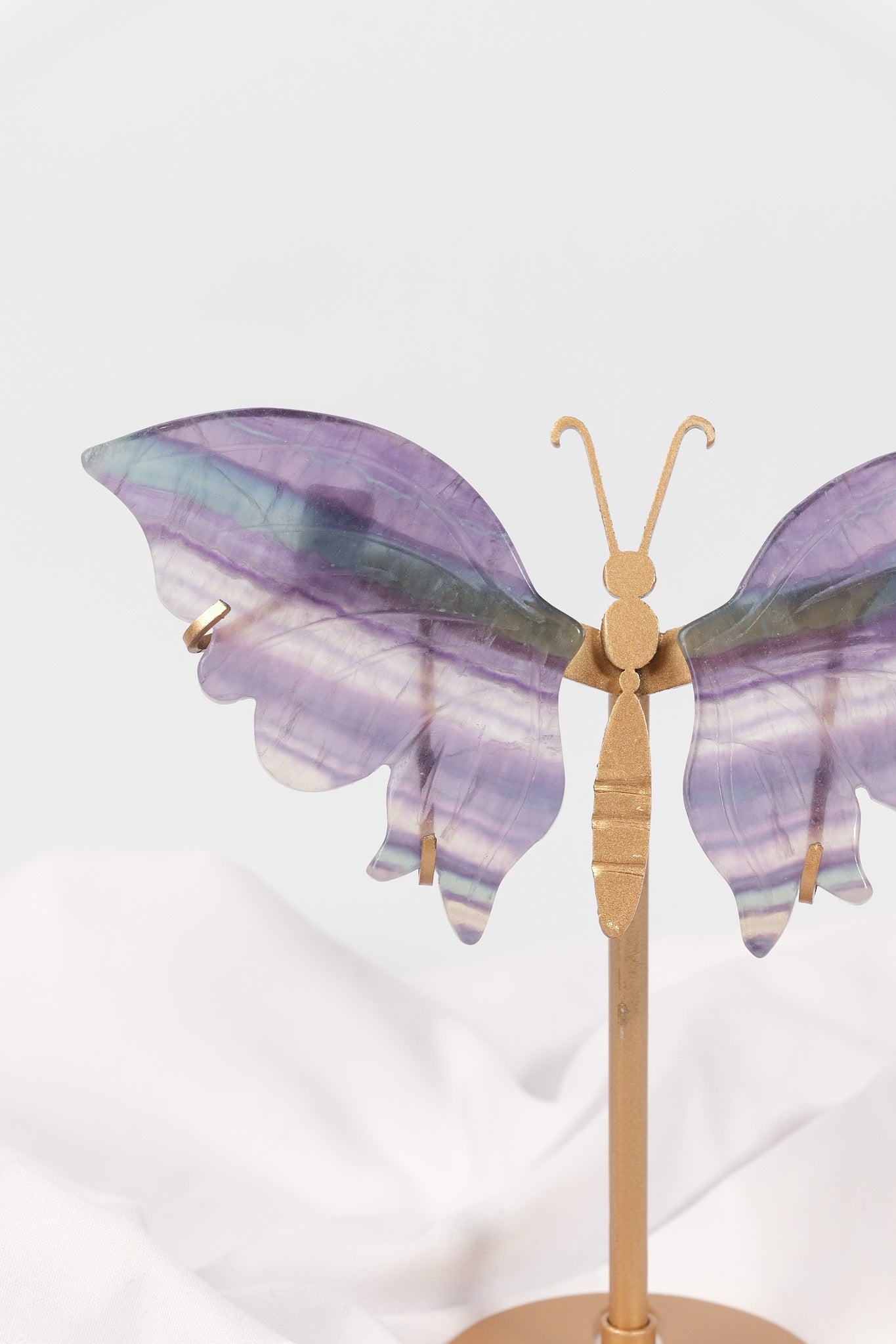 Fluorite Butterfly Wings on Gold Stand