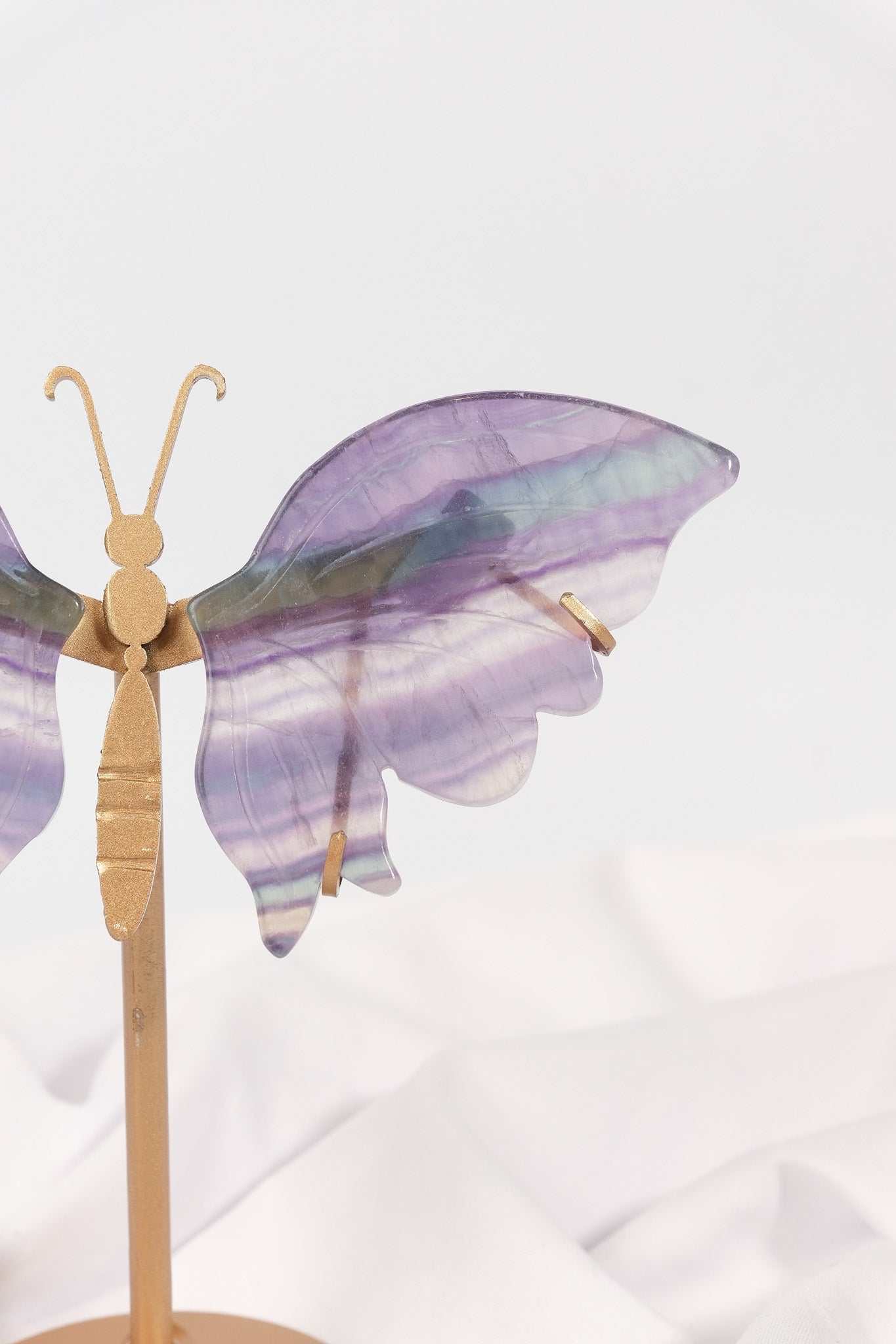 Fluorite Butterfly Wings on Gold Stand