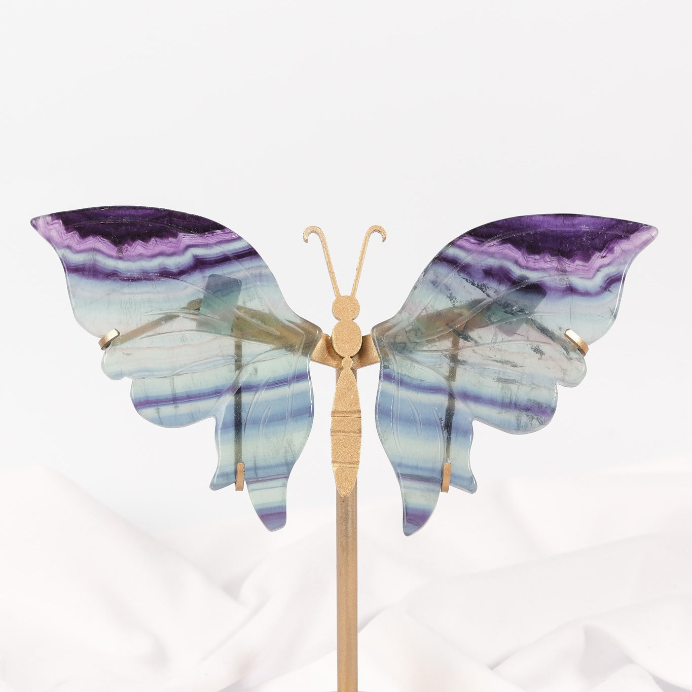 Fluorite Butterfly Wings on Gold Stand