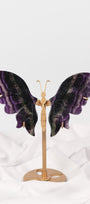 Fluorite Butterfly Wings on Gold Stand