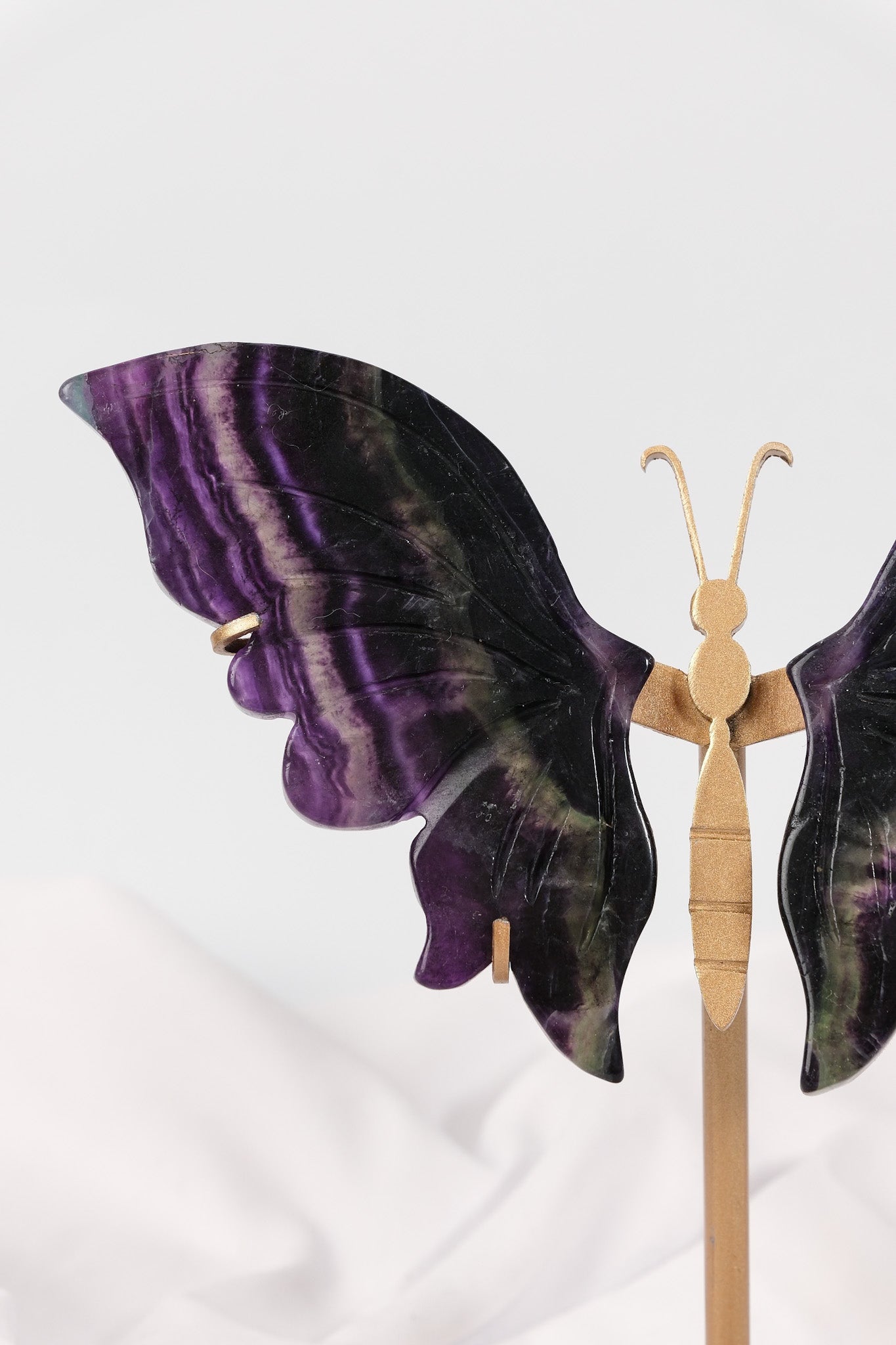 Fluorite Butterfly Wings on Gold Stand