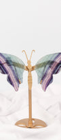 Fluorite Butterfly Wings on Gold Stand