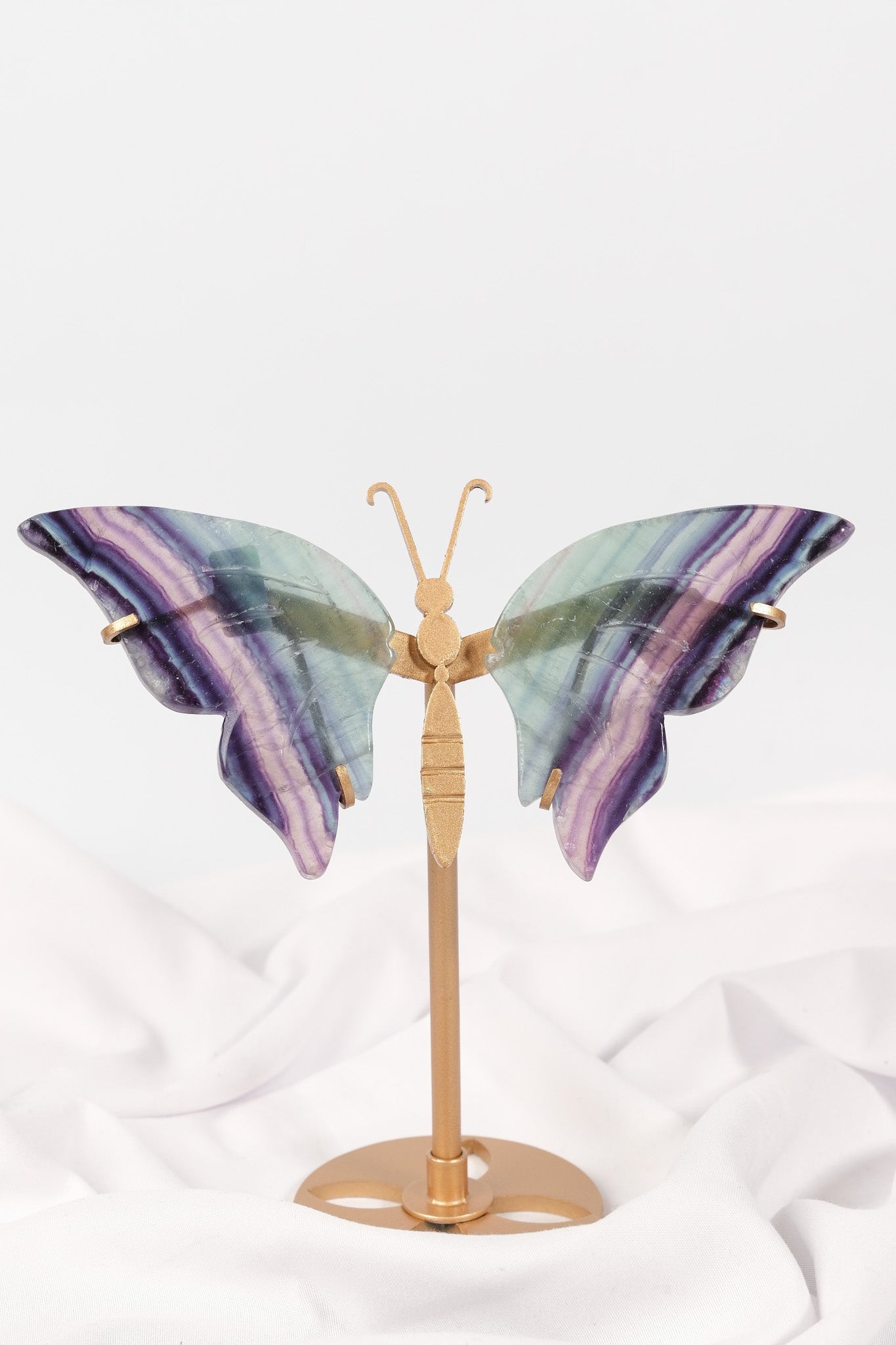 Fluorite Butterfly Wings on Gold Stand