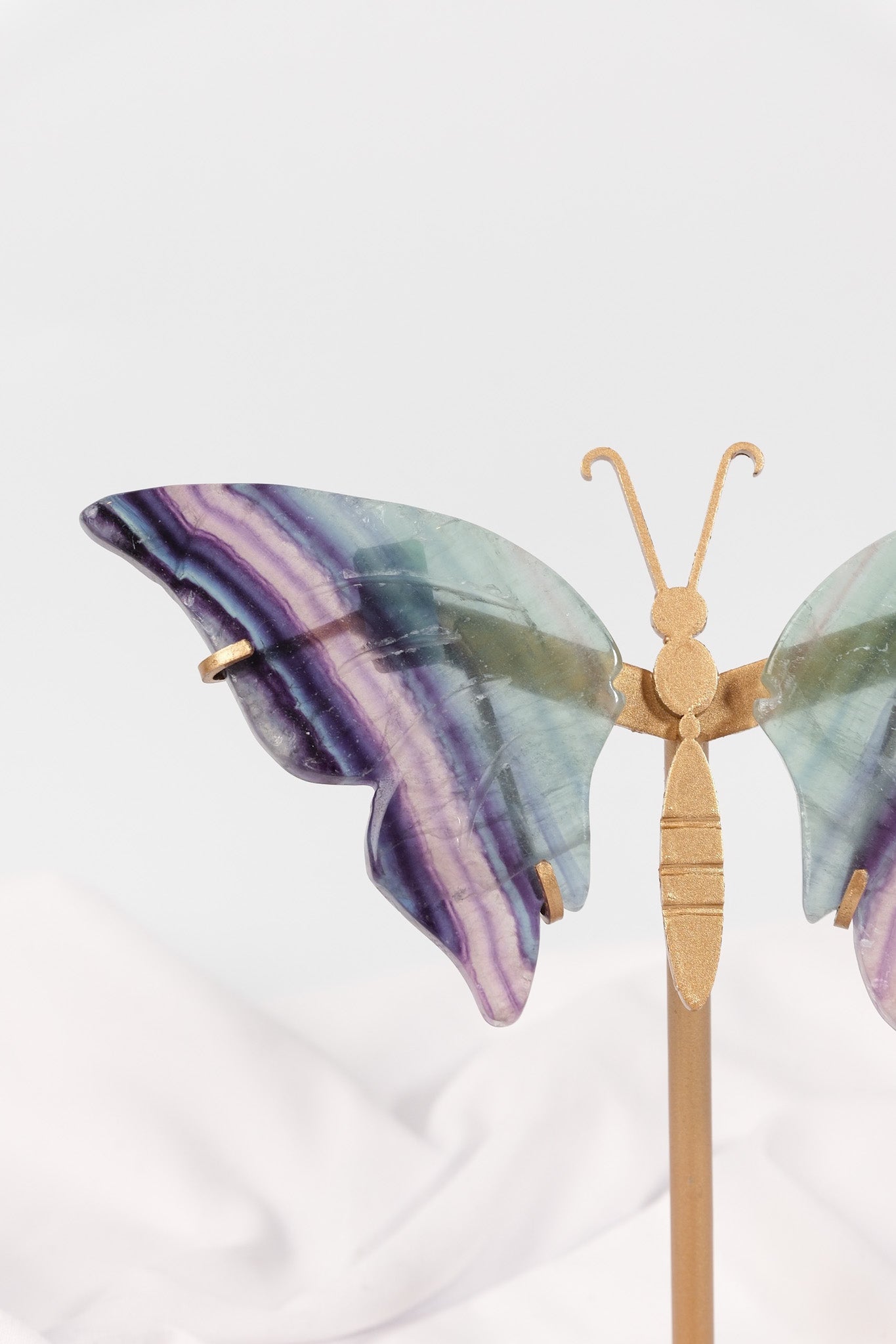 Fluorite Butterfly Wings on Gold Stand