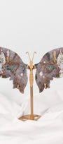 Sea Jasper Butterfly Wings on Gold Stand