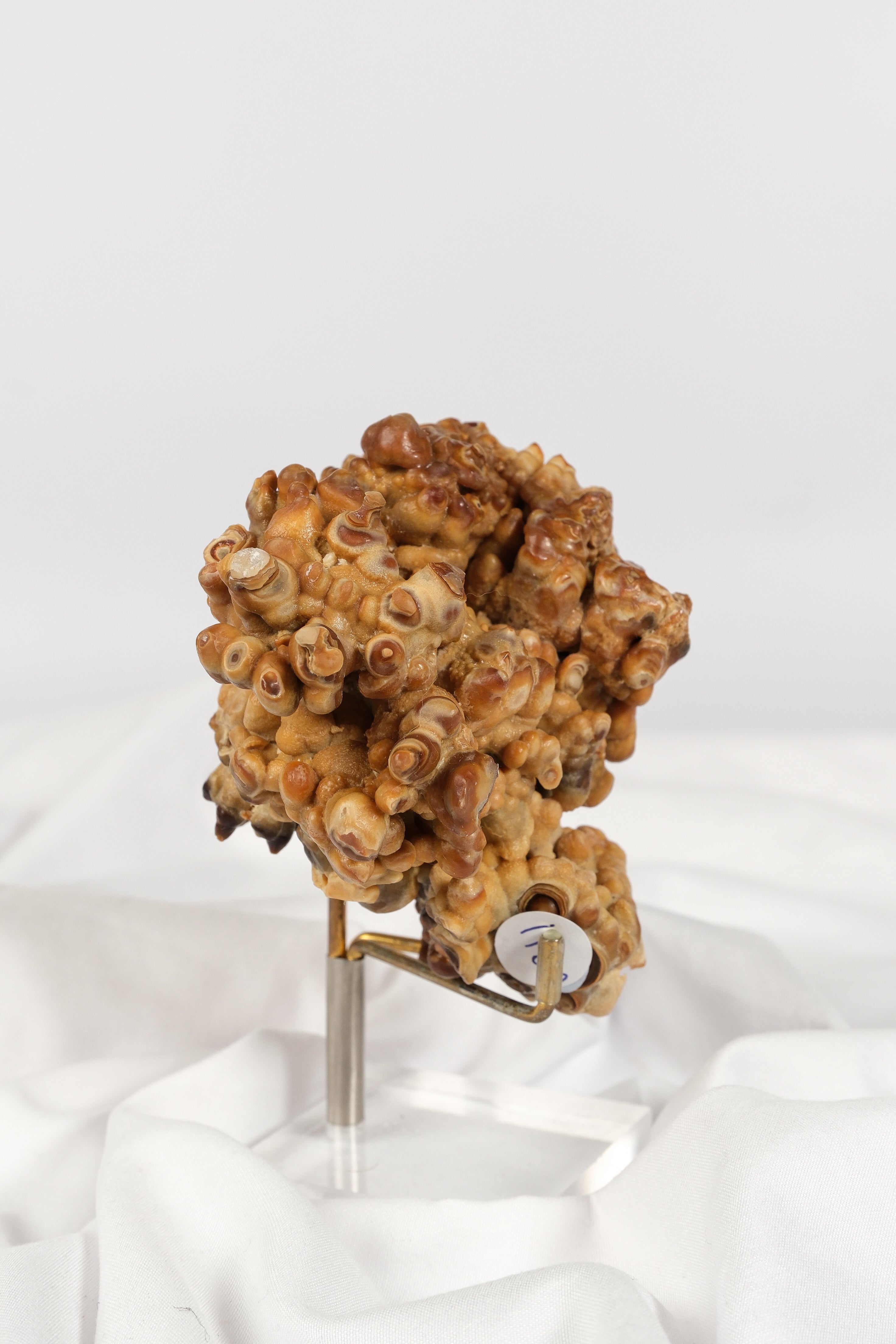 Brown Cave Aragonite