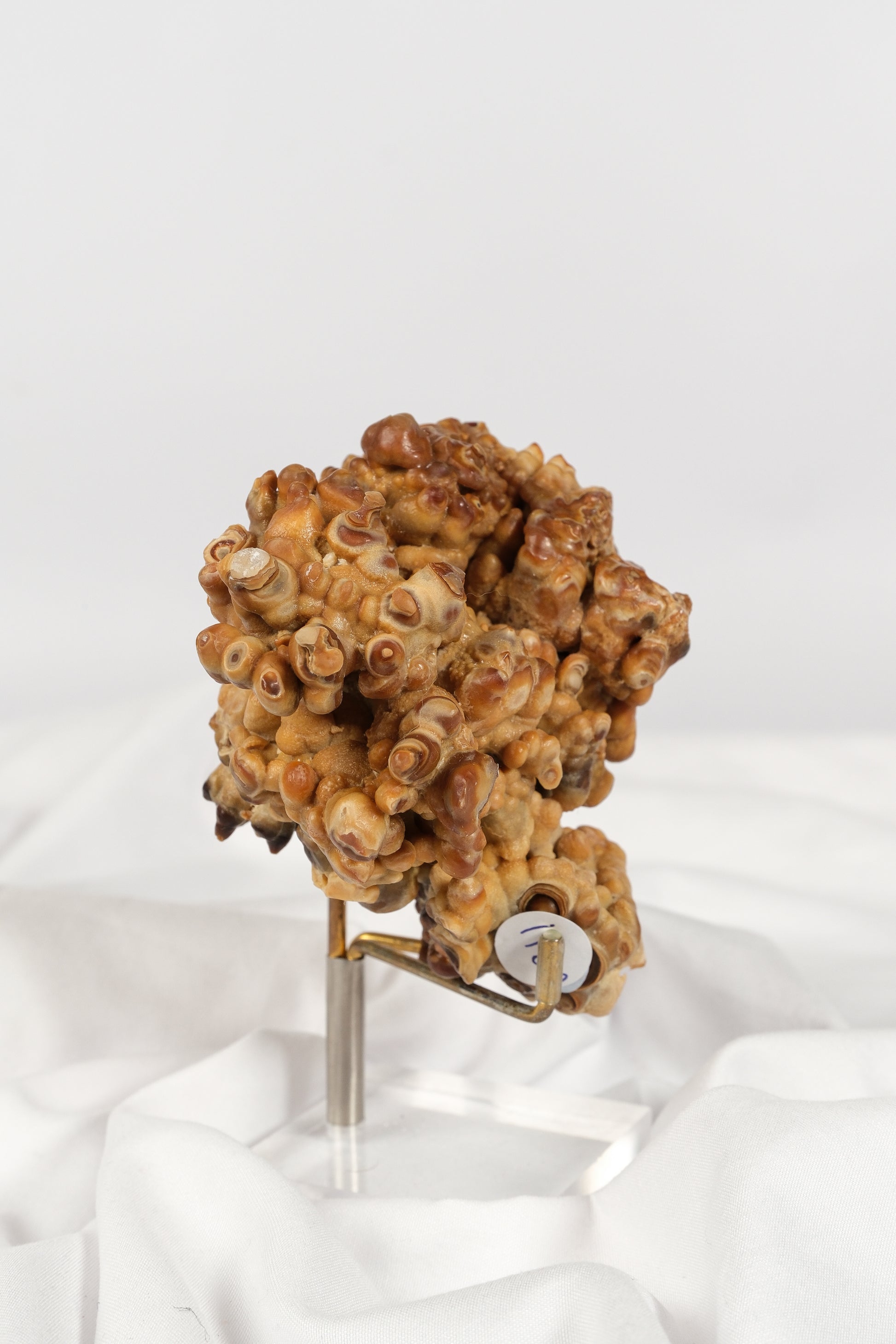 Brown Cave Aragonite