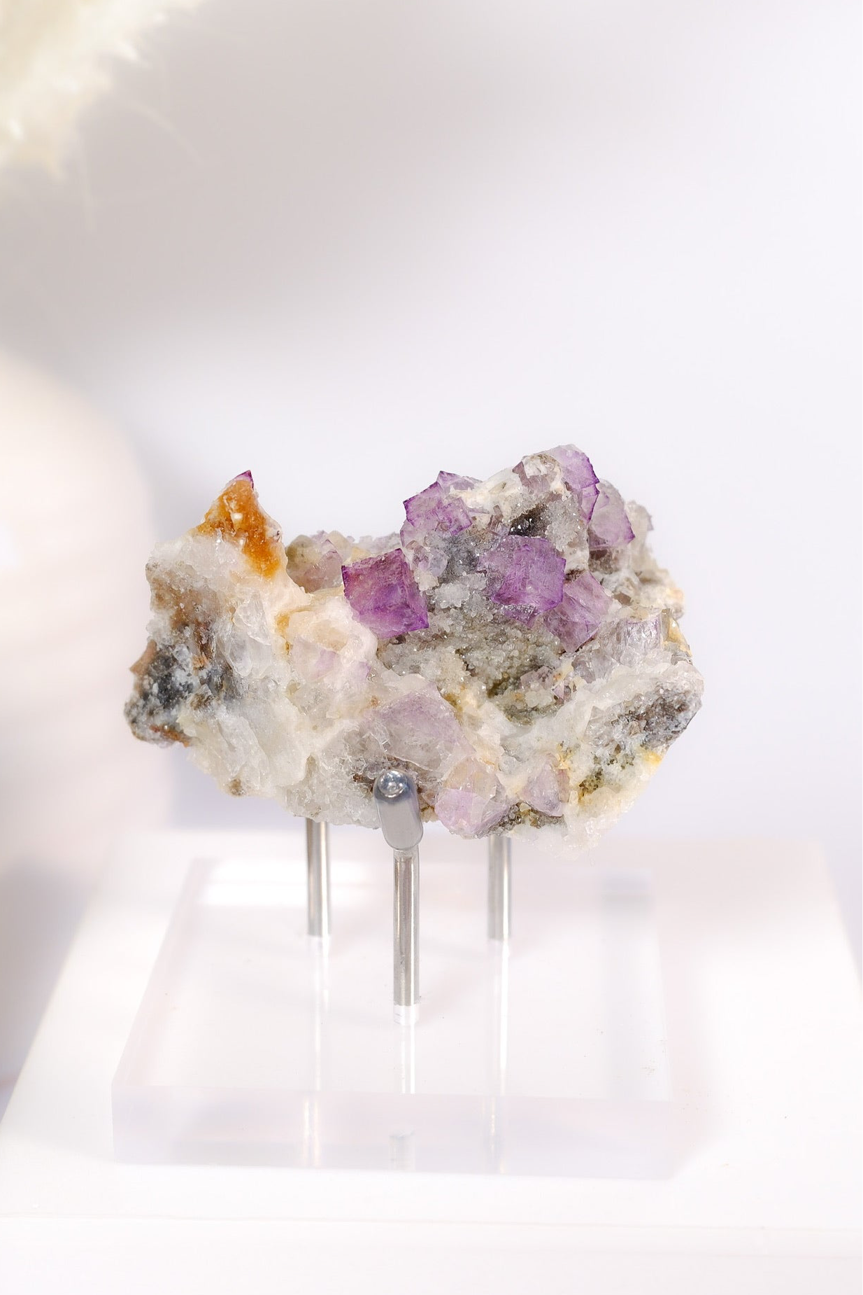 El Filo Fluorite Cluster