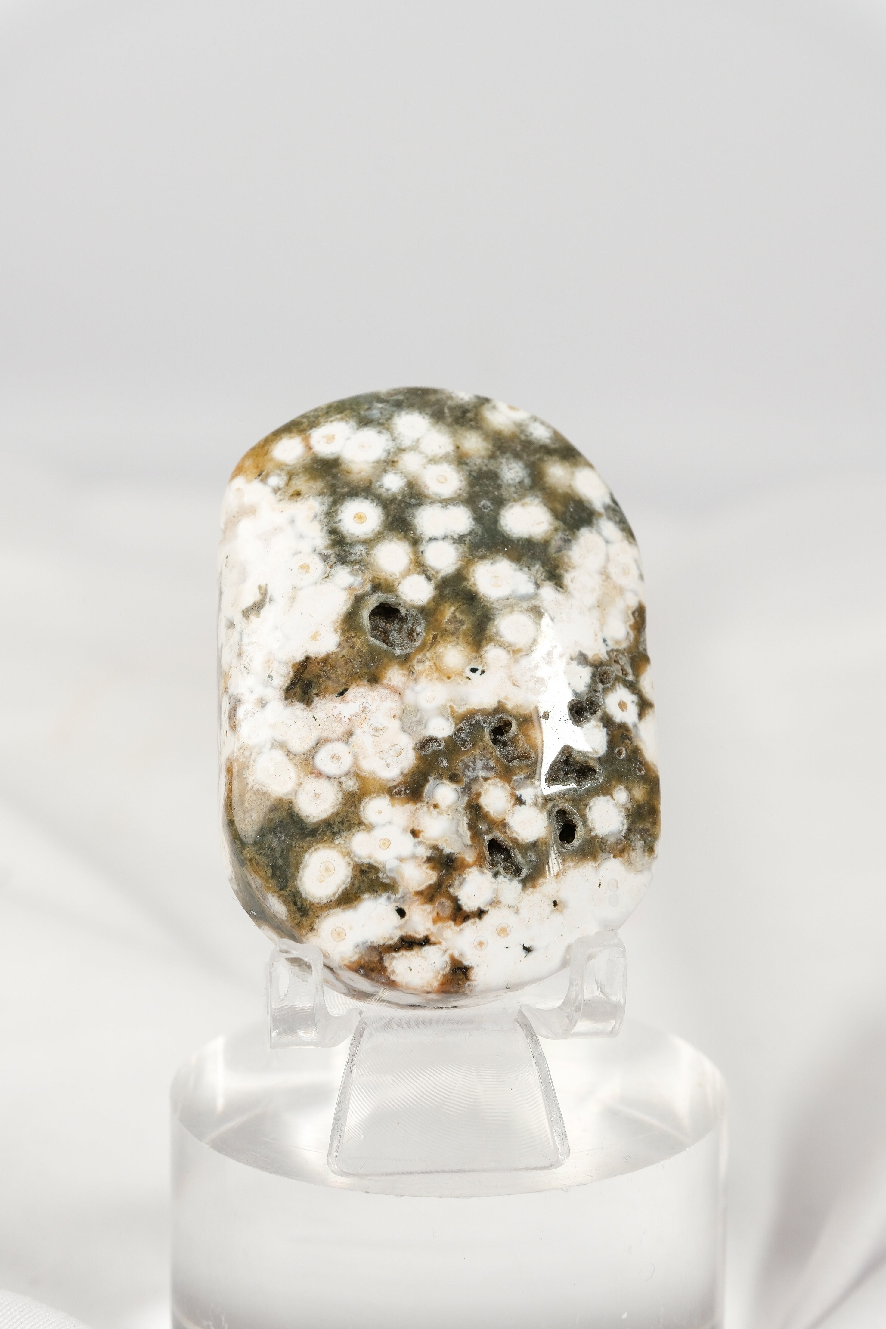 Orbicular Sea Jasper Palmstone