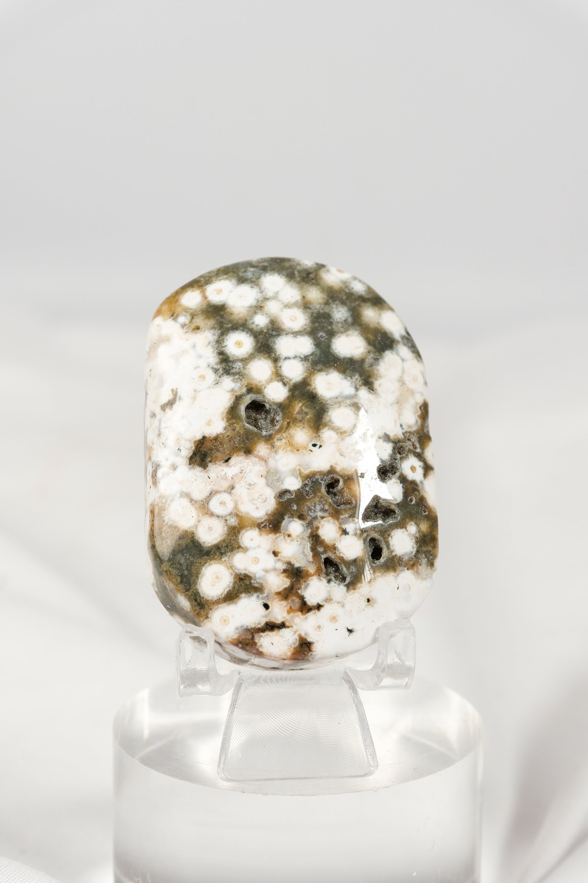 Orbicular Sea Jasper Palmstone