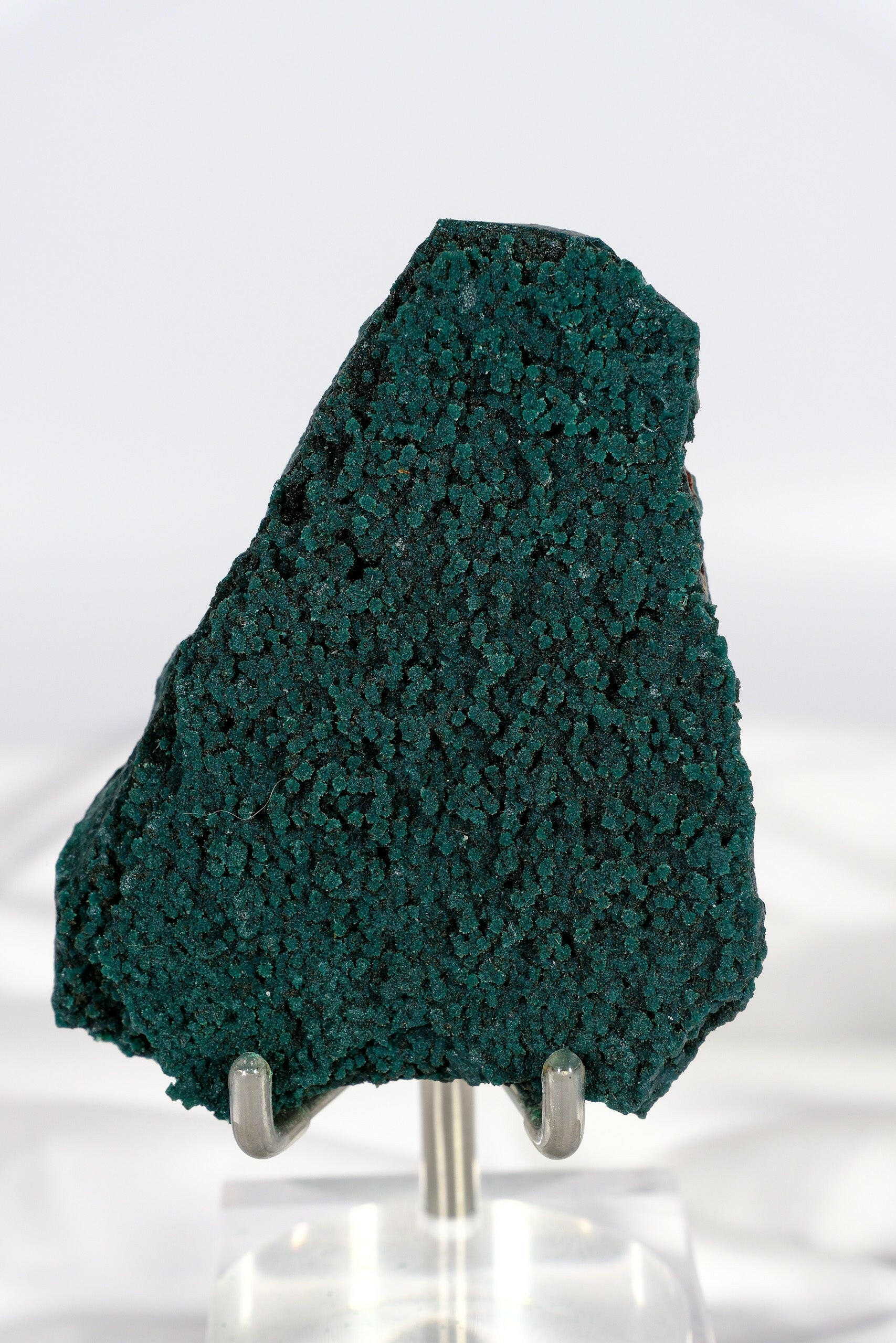 Botryoidal Green Chalcedony with Celadonite and Apophyllite Slice Healing Crystal.