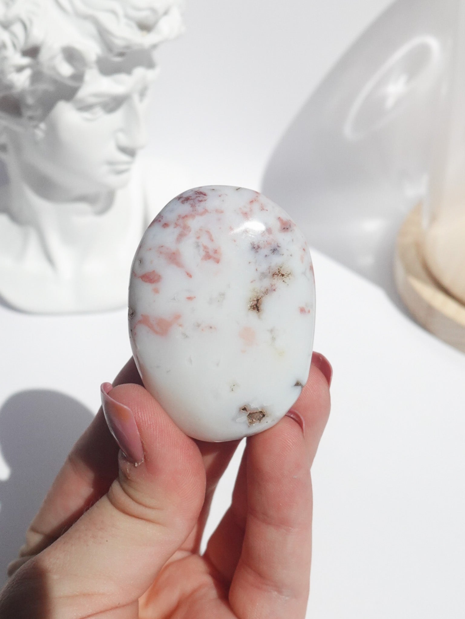 Ocean Jasper Palmstone